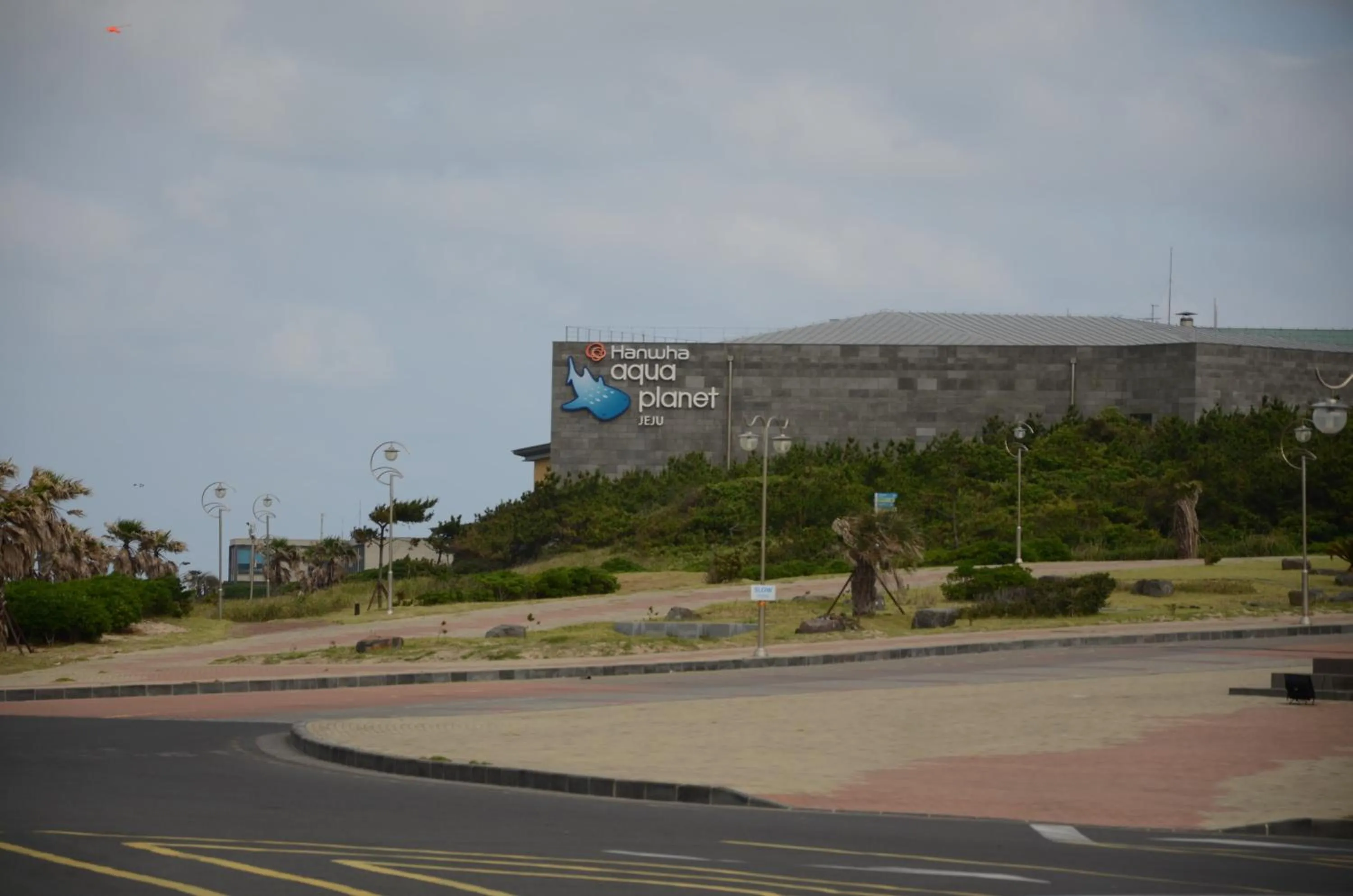 Beach in Jeju Stay in Sungsan