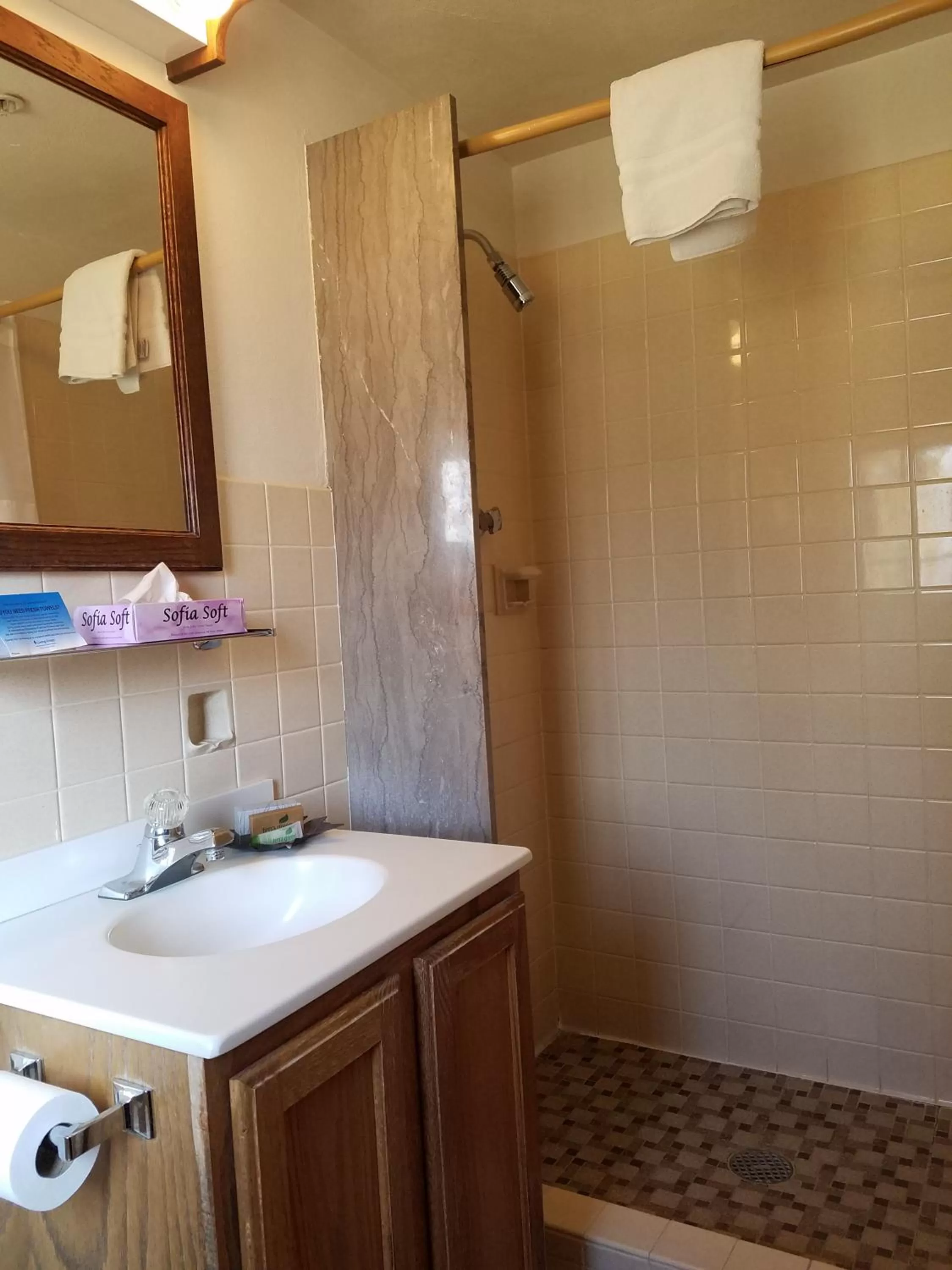 Standard Double Room with Two Double Beds in Potawatomi Inn & Cabins