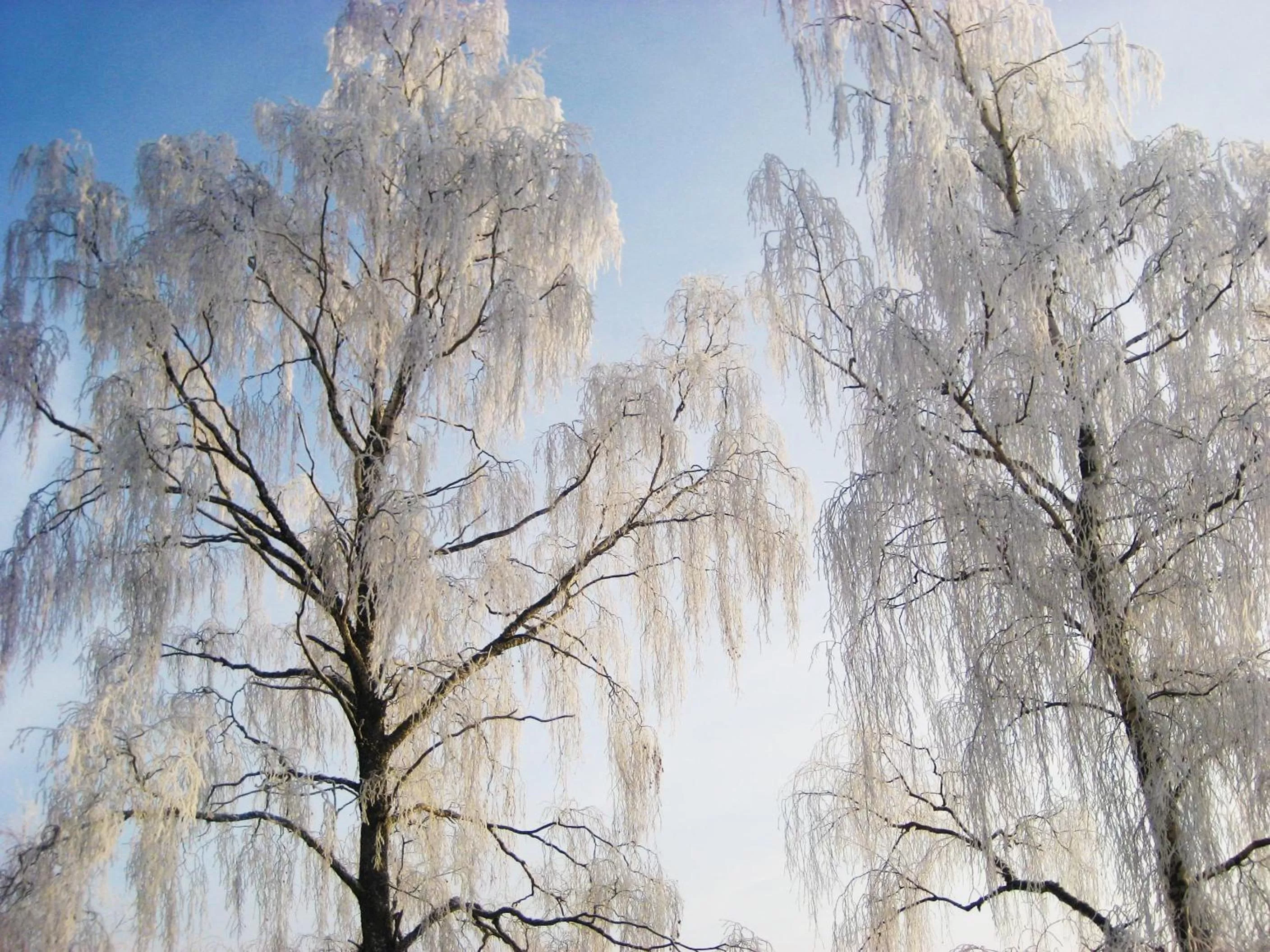 Other, Winter in Woodstock B & B Studios