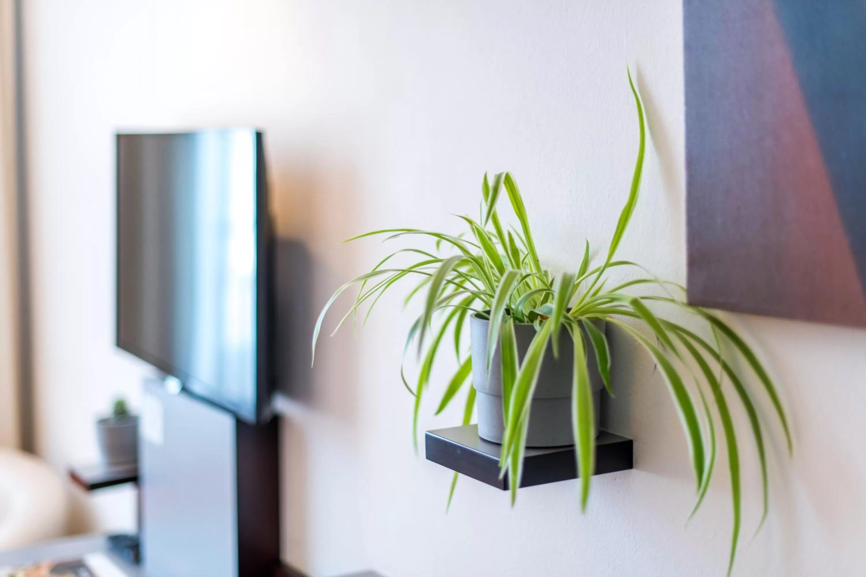 Decorative detail in Hotel Stein - Schiller's Manufaktur