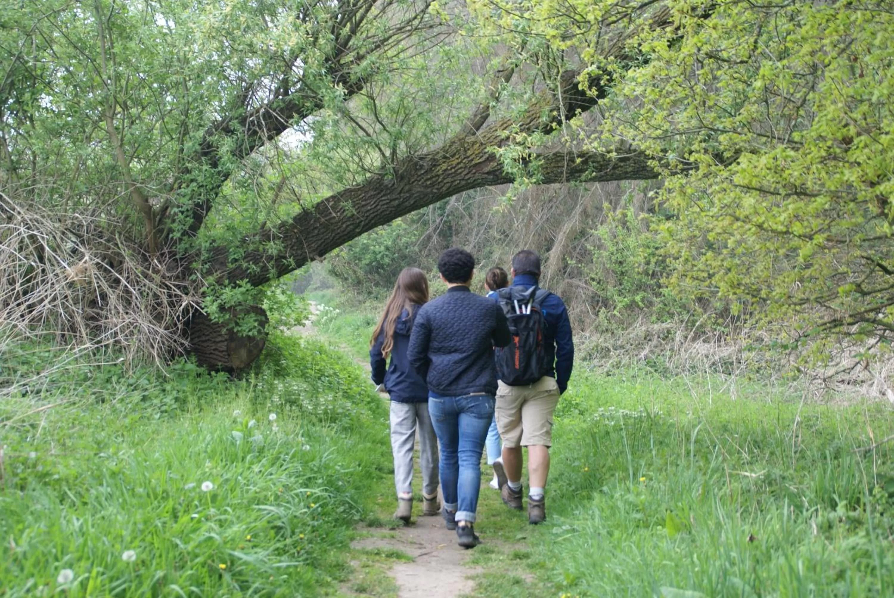 Spring in B&B Sasput