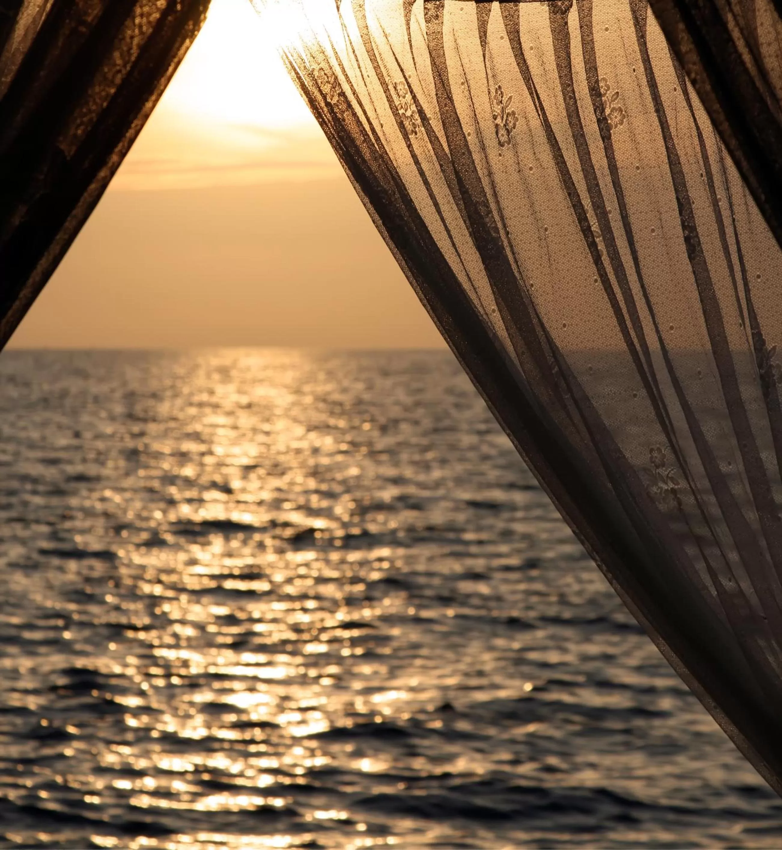 View (from property/room) in Hotel Muva Beach