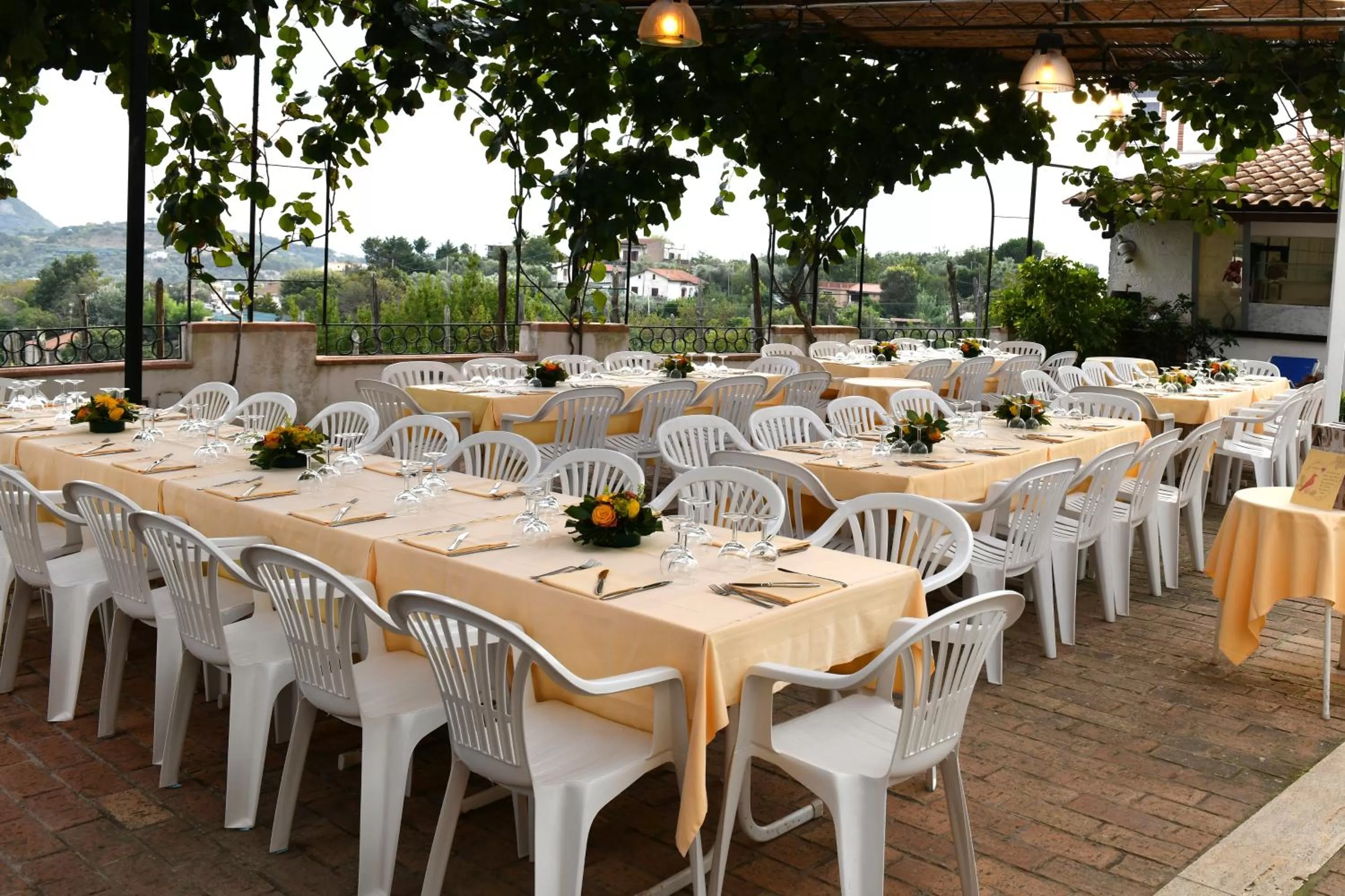 Garden in De Maria House