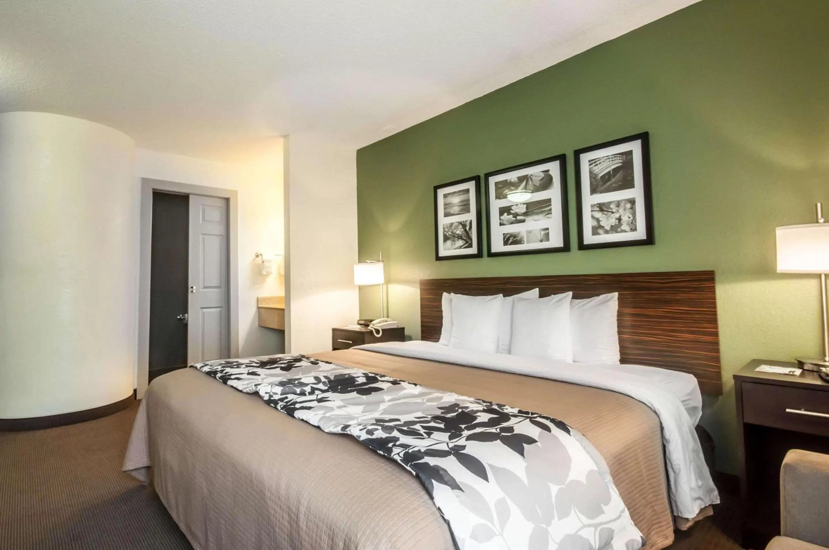 Photo of the whole room, Bed in Sleep Inn Cinnaminson - Philadelphia East