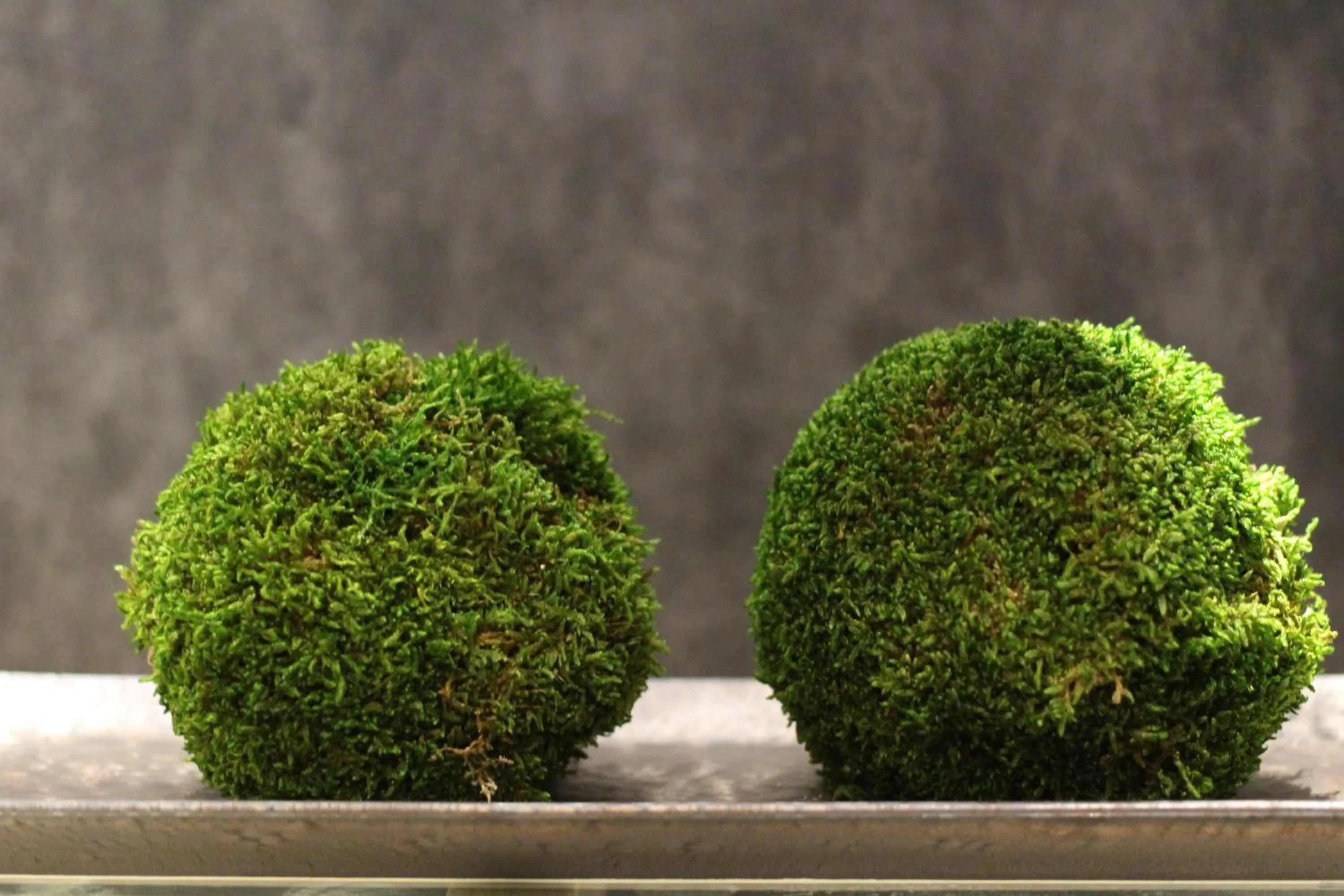 Communal lounge/ TV room in KOKO HOTEL Tsukiji Ginza