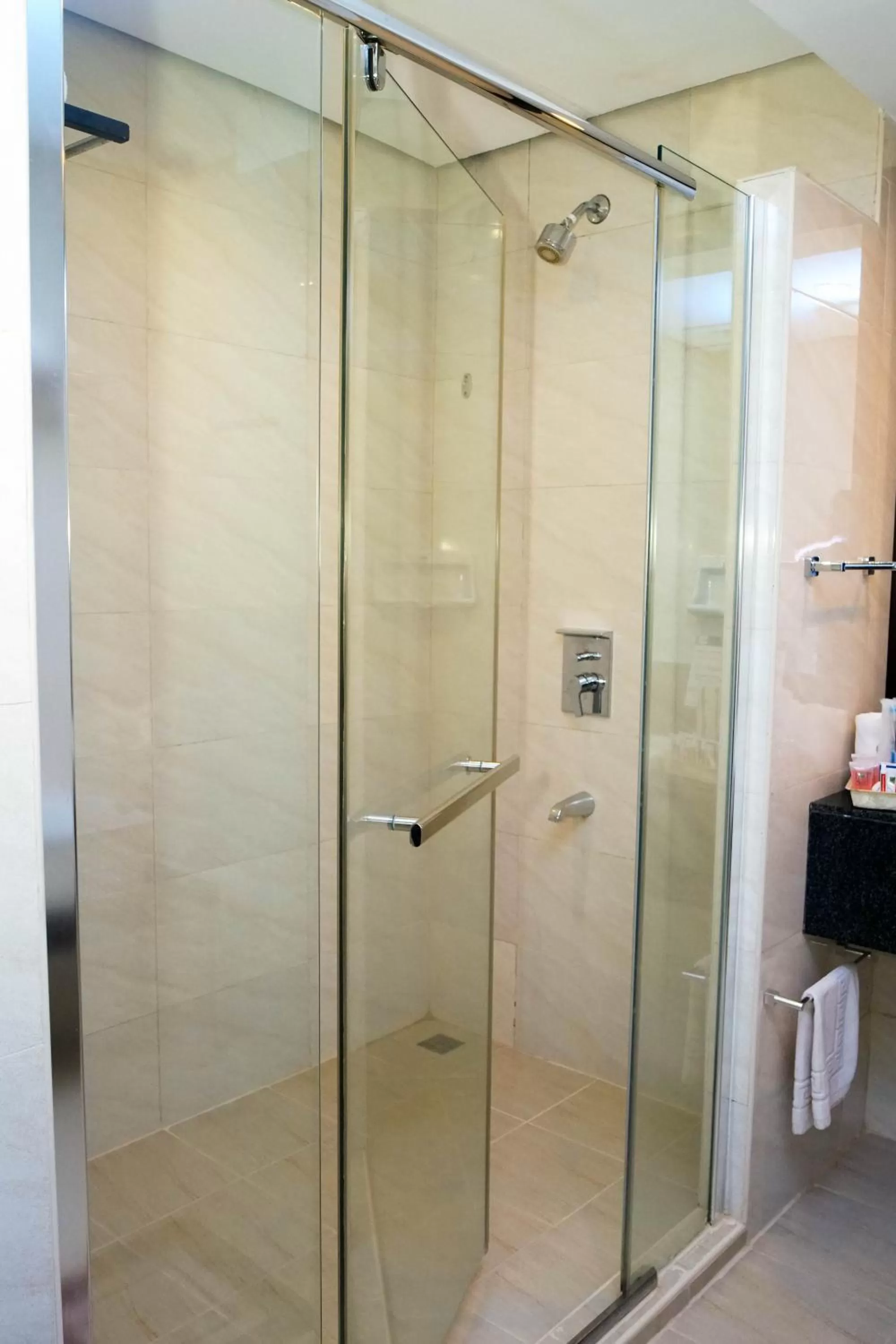 Shower in Coron Westown Resort