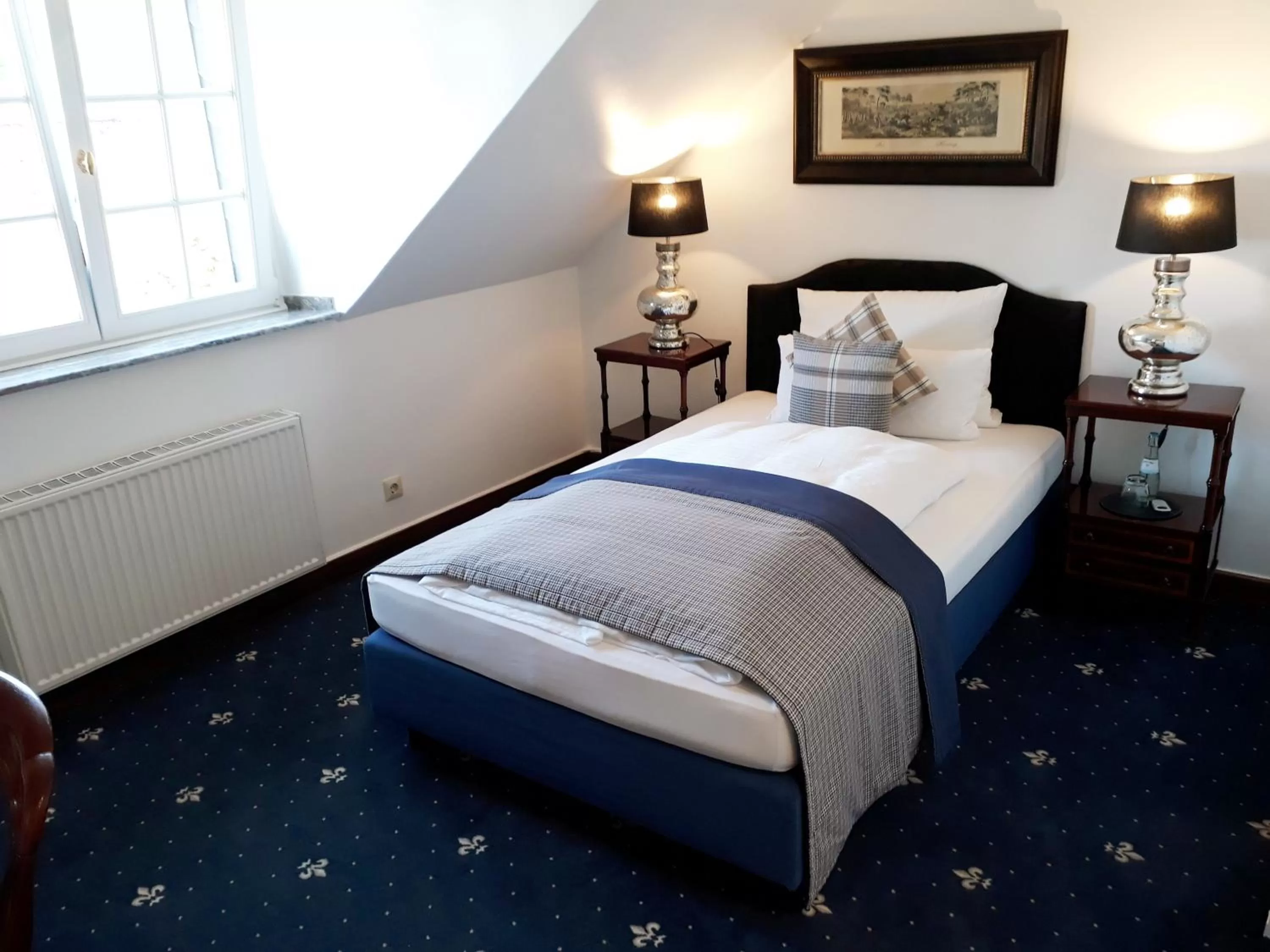 Business Single Room in Hotel Windsor