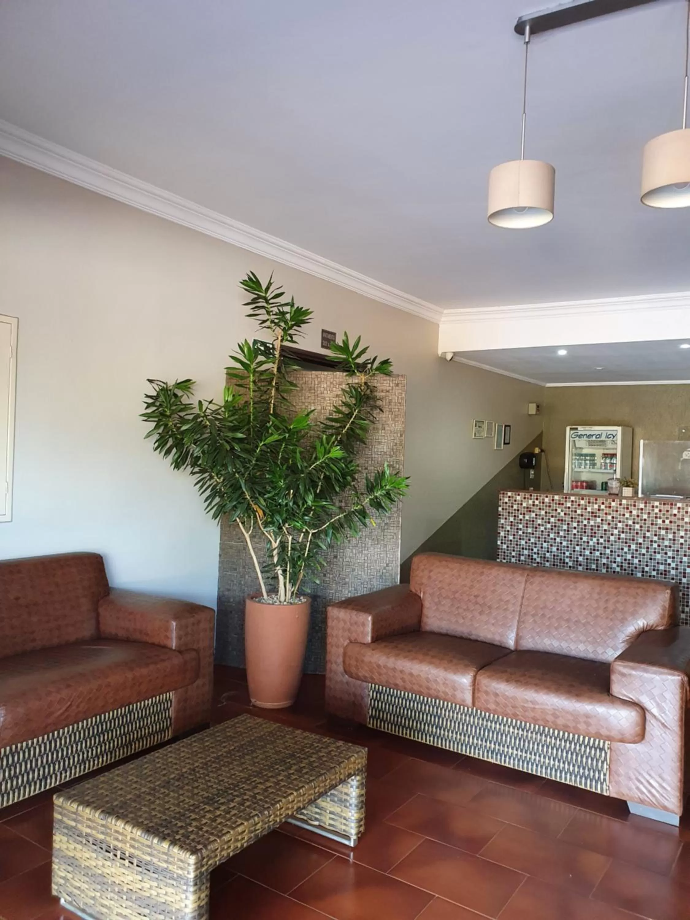 Lobby or reception, Seating Area in Hotel Recreio dos Bandeirantes