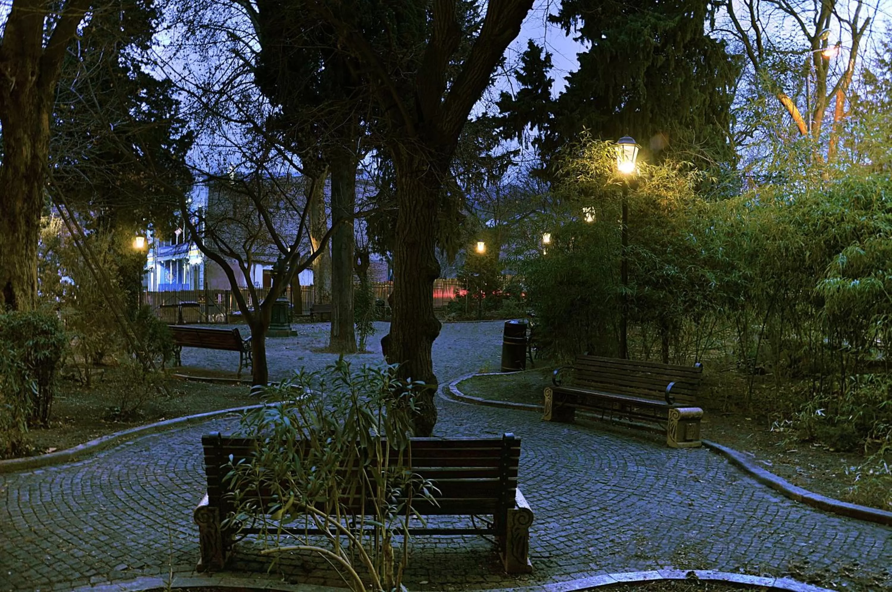 Garden in Tekla Palace By Urban Hotels