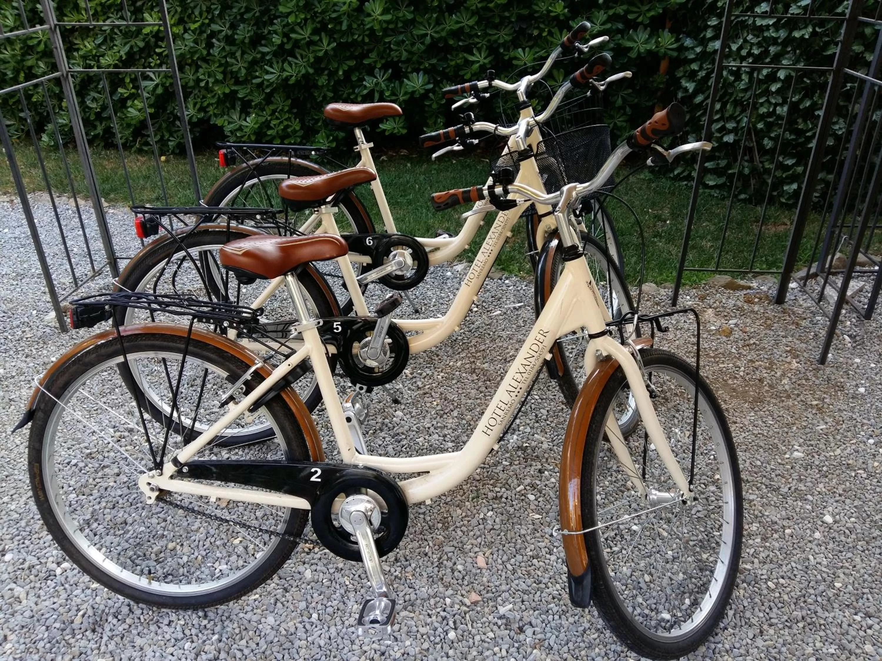 Cycling in Hotel Alexander & Spa