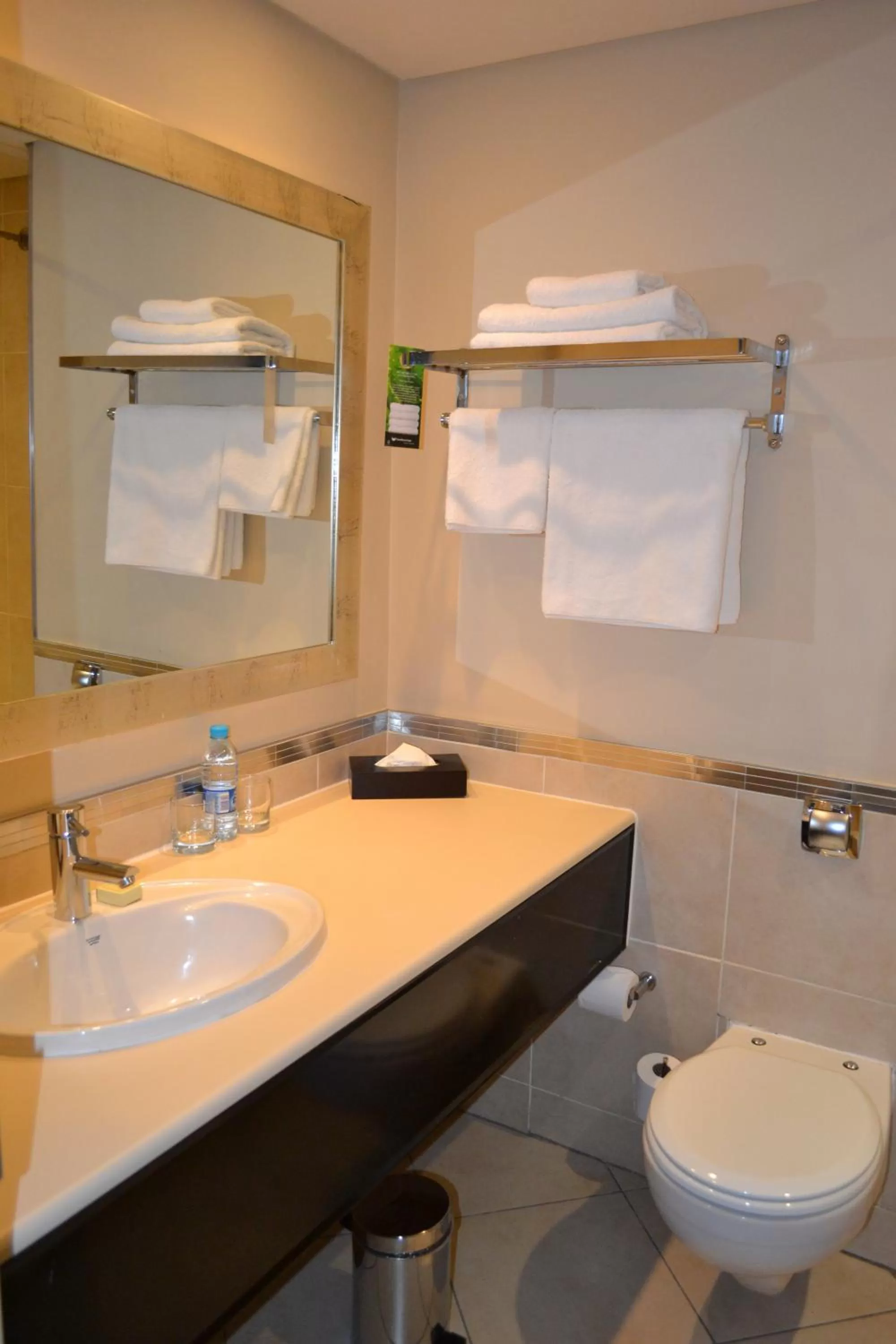 Bathroom in Southern Sun Pretoria