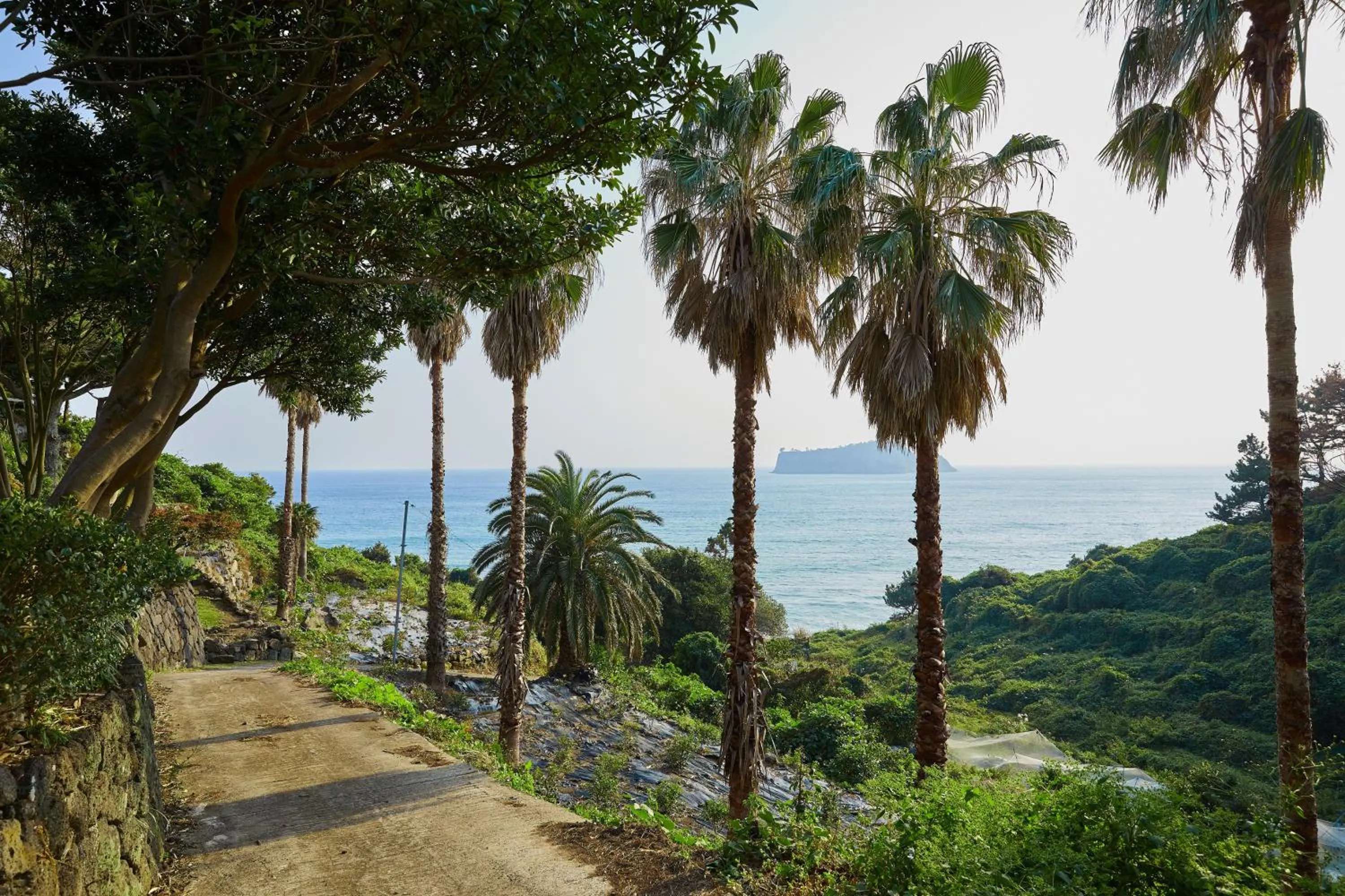 Garden in GoldOne Hotel & Suites