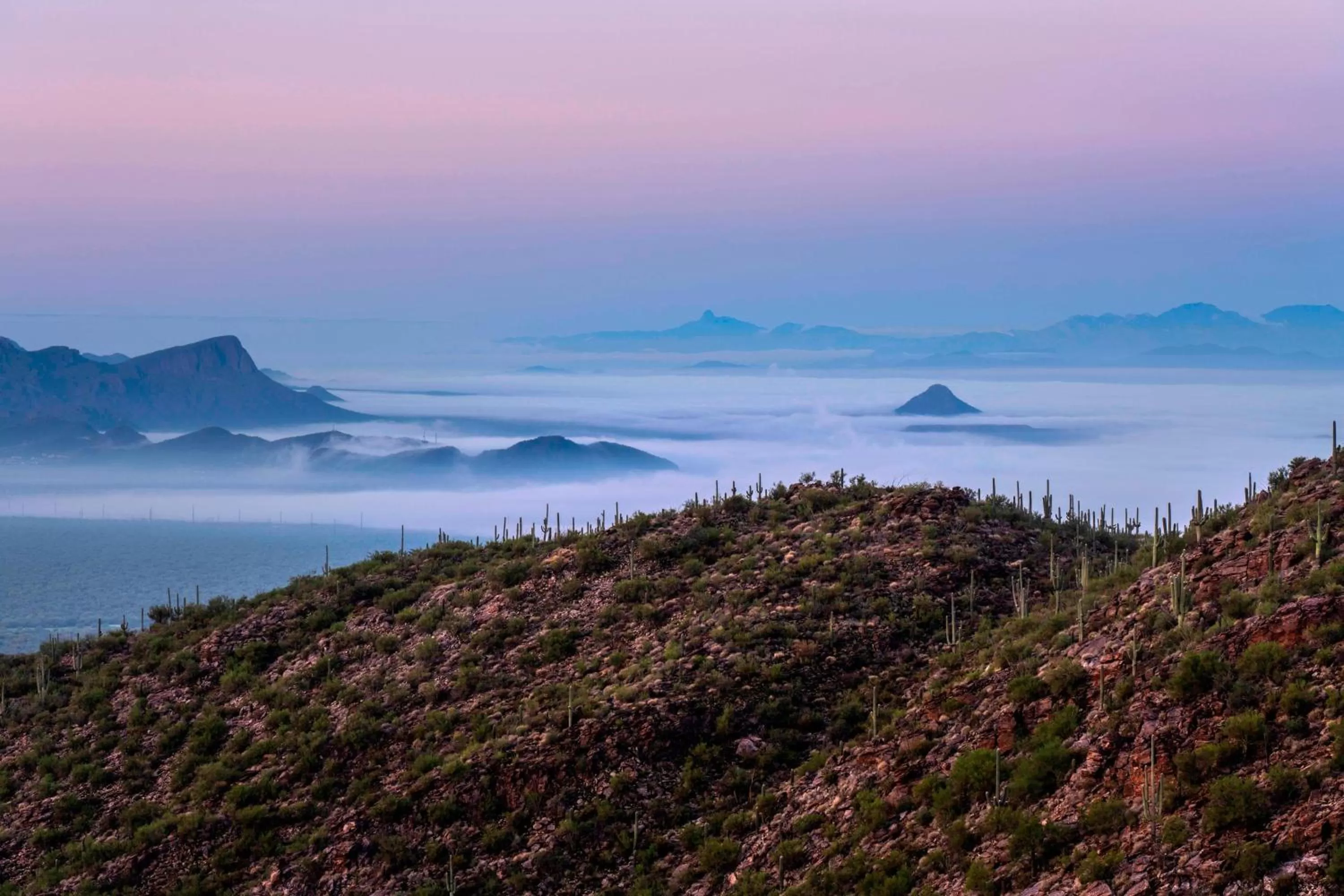 View (from property/room) in The Ritz-Carlton, Dove Mountain