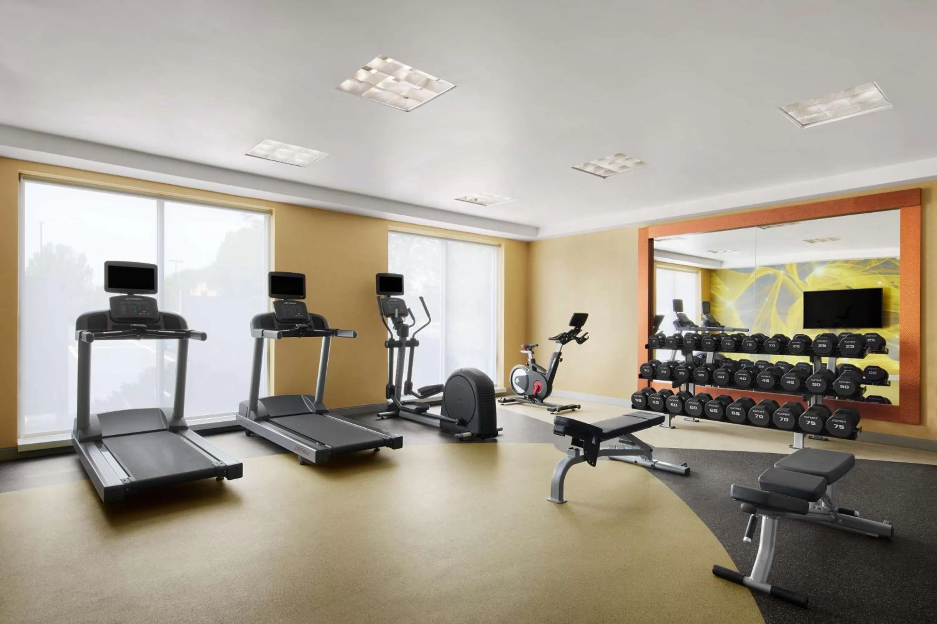 Fitness centre/facilities in Hilton Garden Inn Denver South Park Meadows Area