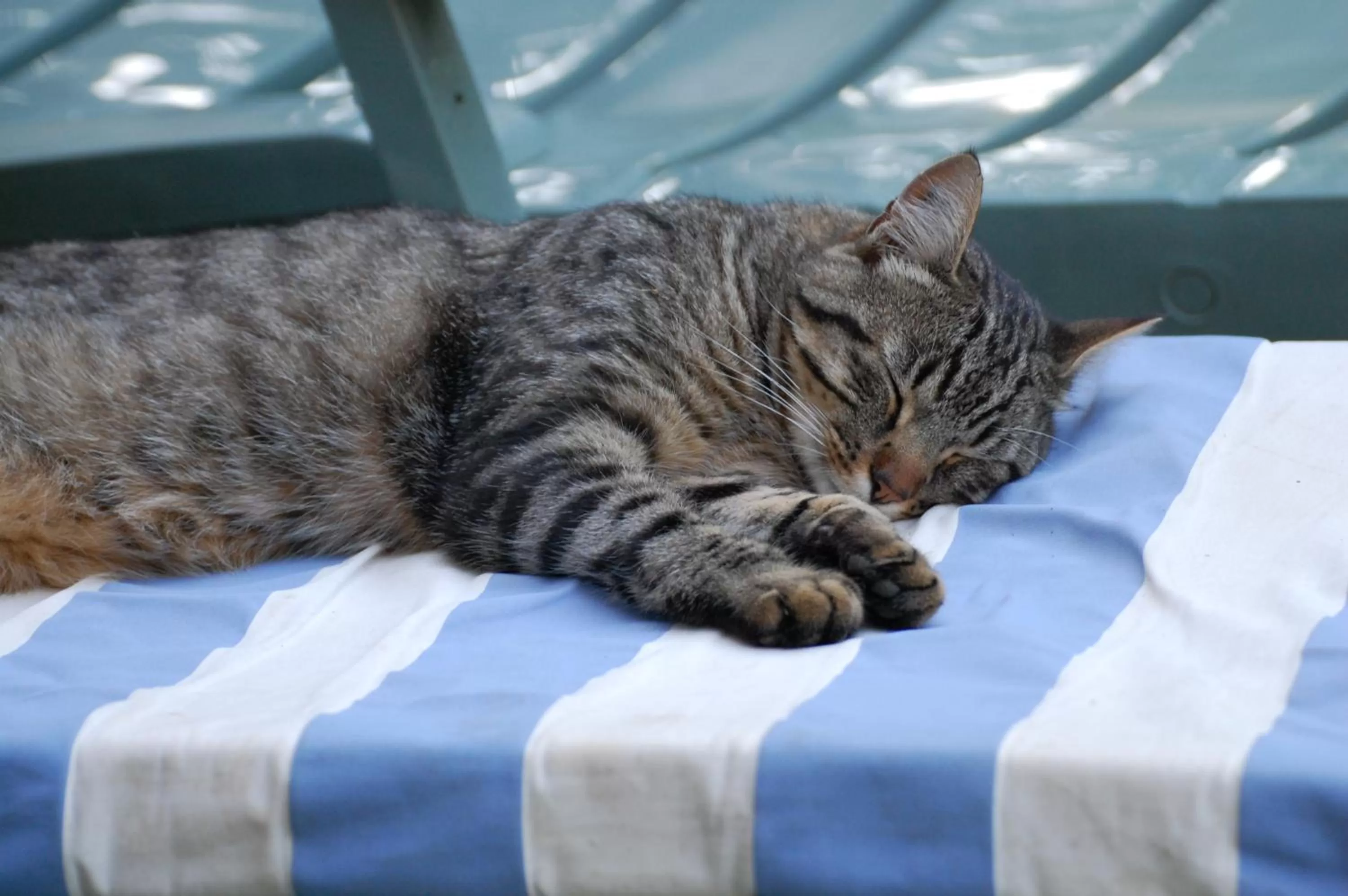 chambre d'hôte chez l'habitant
