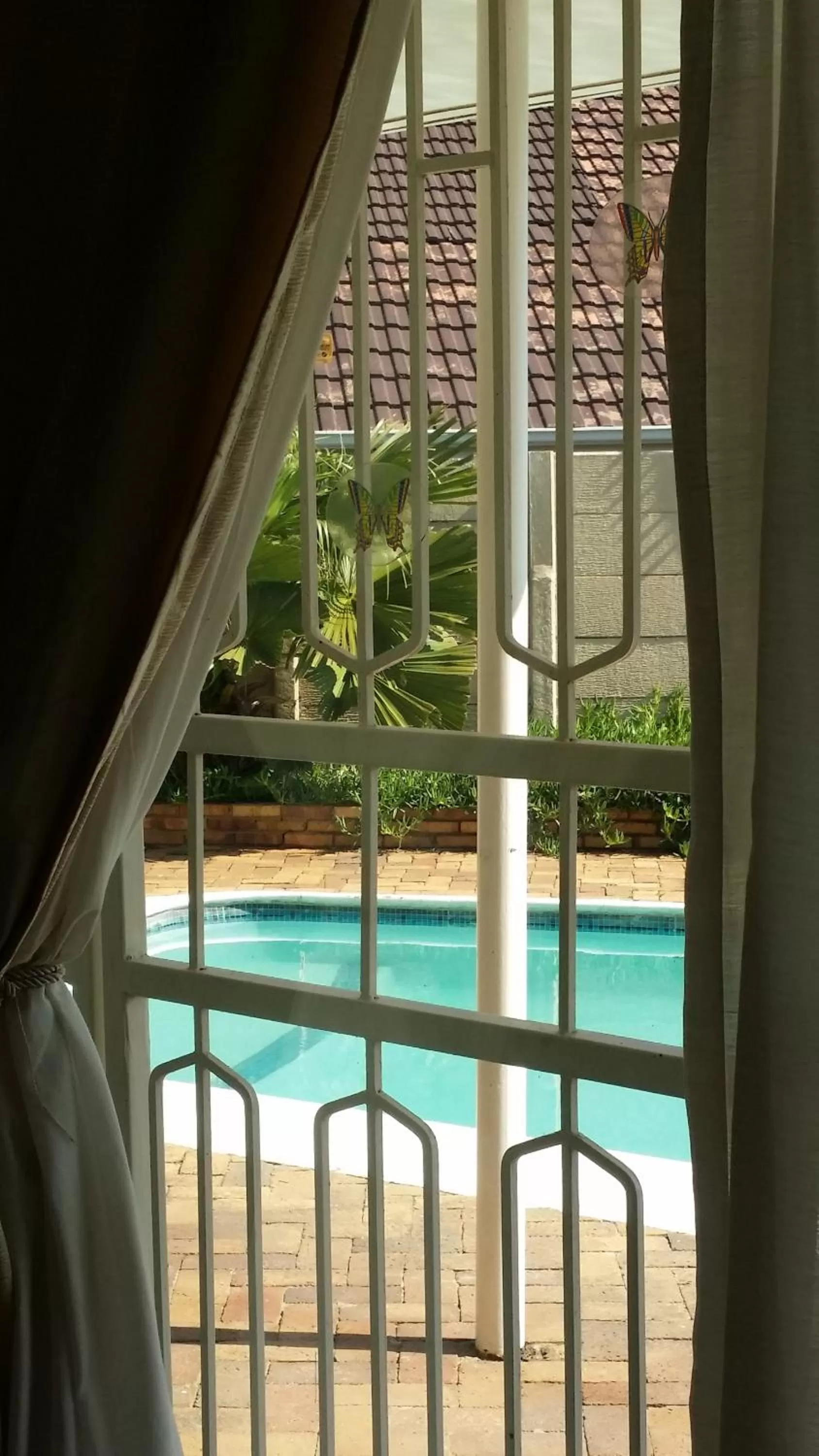 Swimming pool, Pool View in Moye Guest House