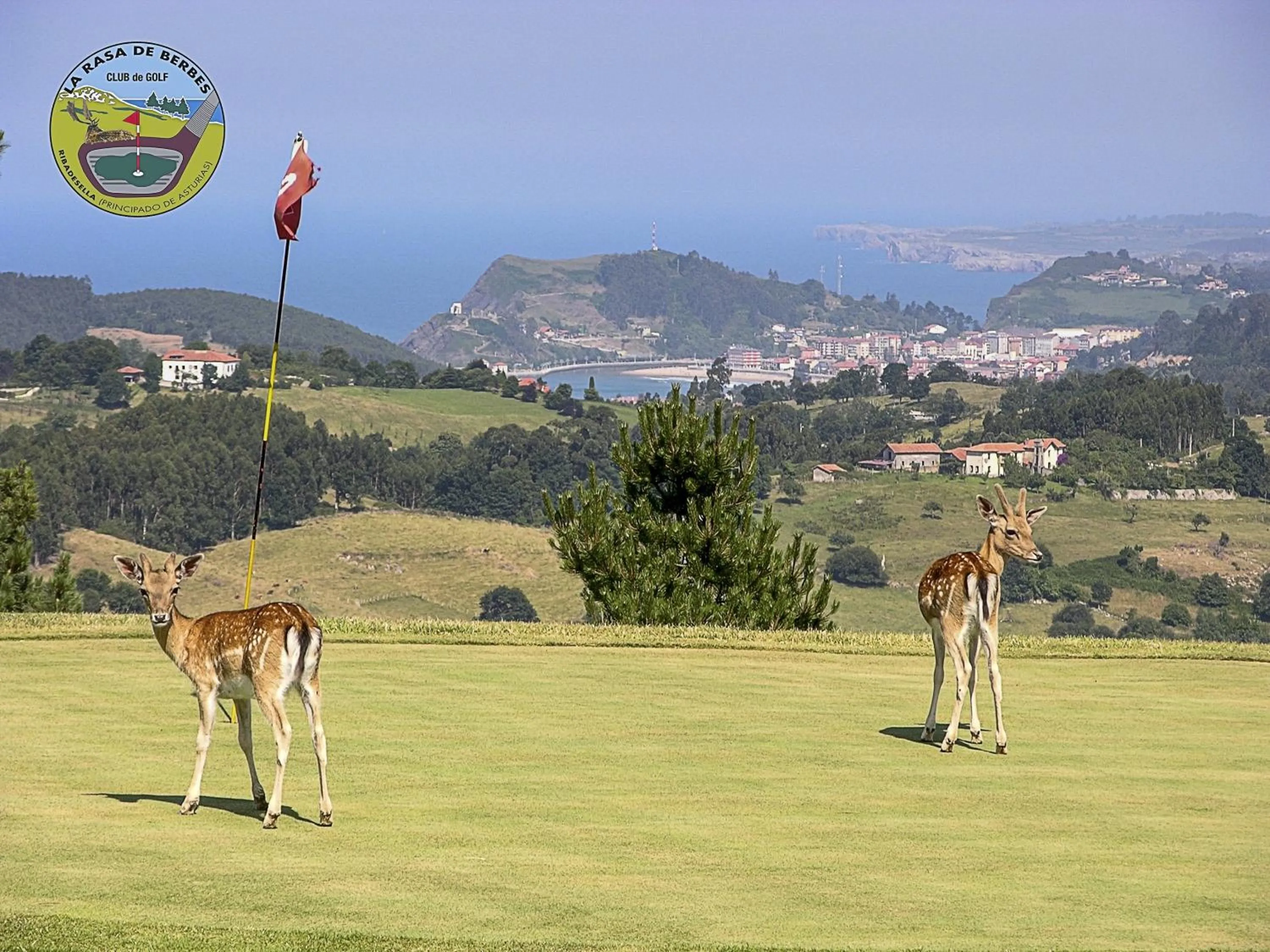 Golfcourse in Hotel Don Pepe