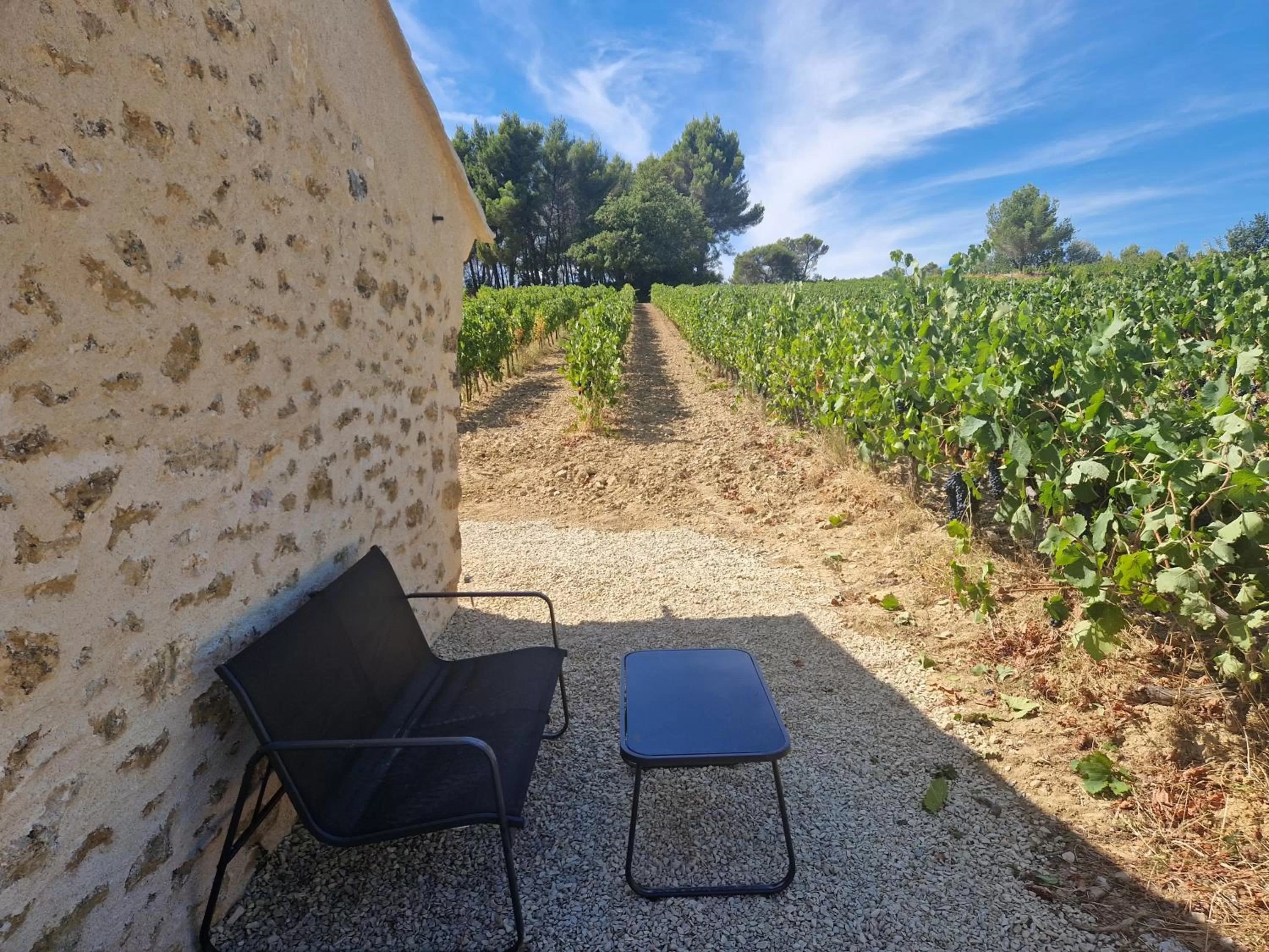 Bastide Bellugue Maison d'hôtes réseau Bienvenue à La Ferme à 3 minutes de Lourmarin