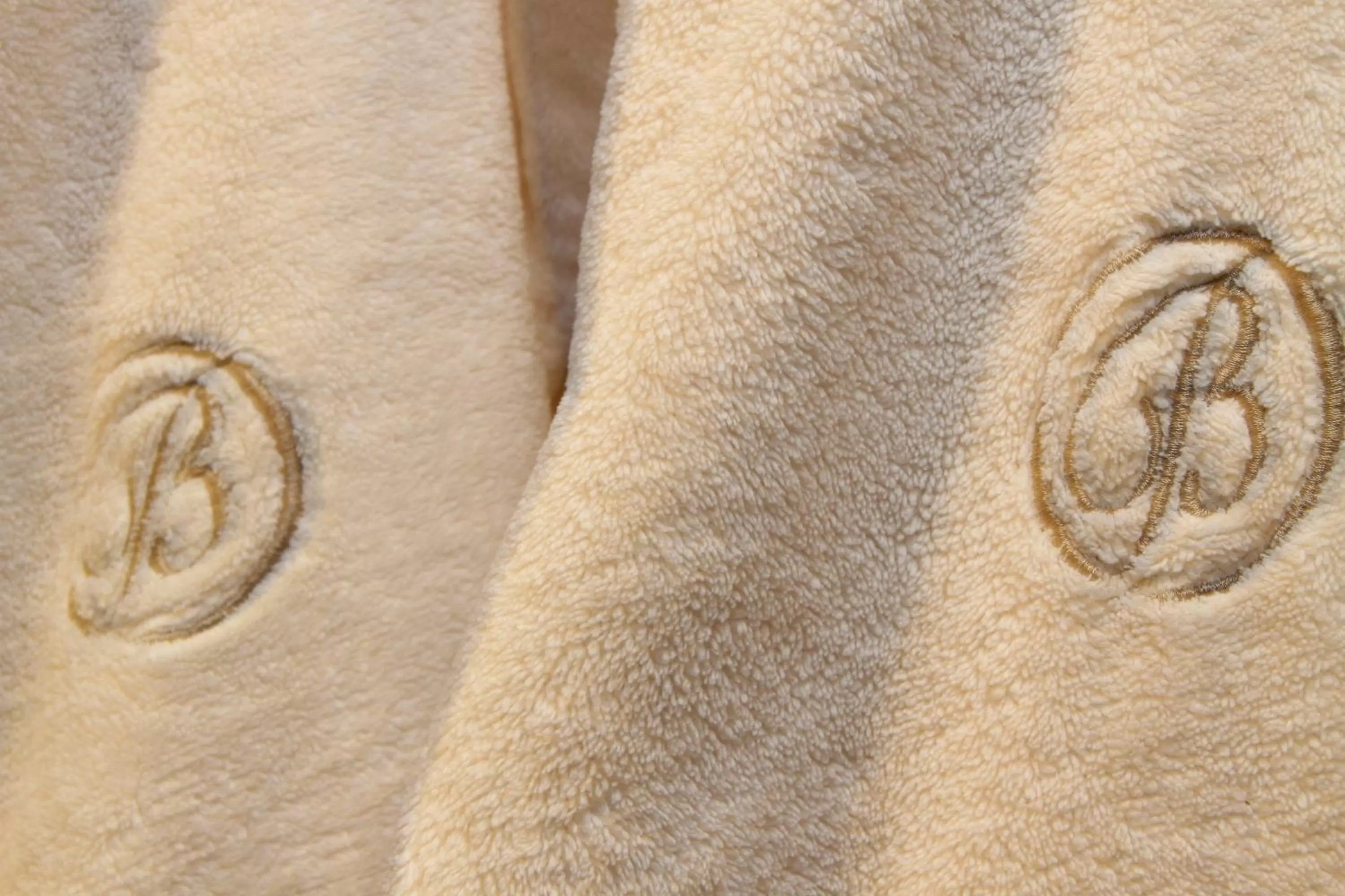 Shower in Bentleys Motor Inn