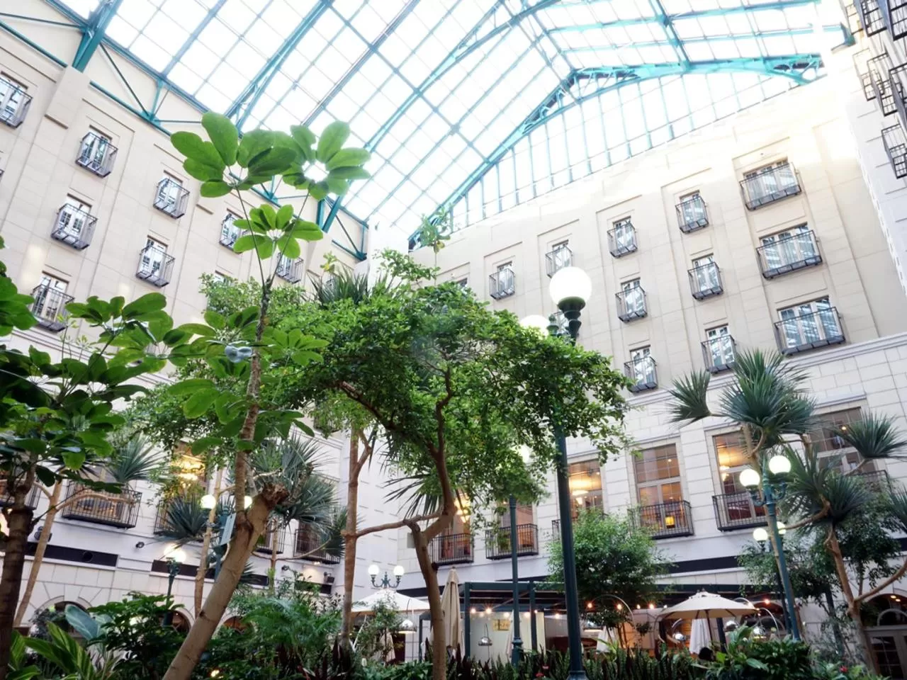 Area and facilities in Mito Plaza Hotel