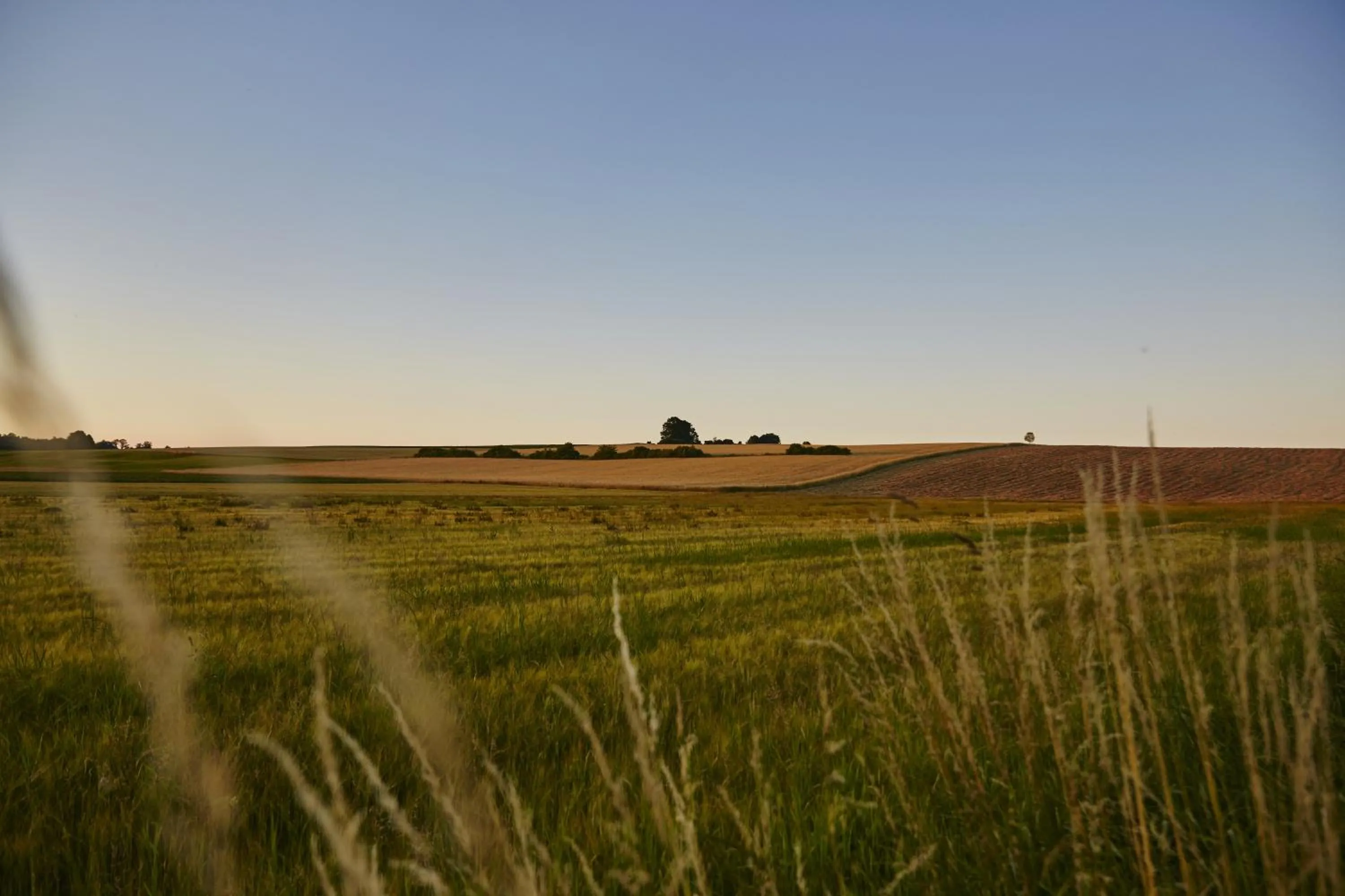 Mountain view in Hotel Gutsgasthof Stangl