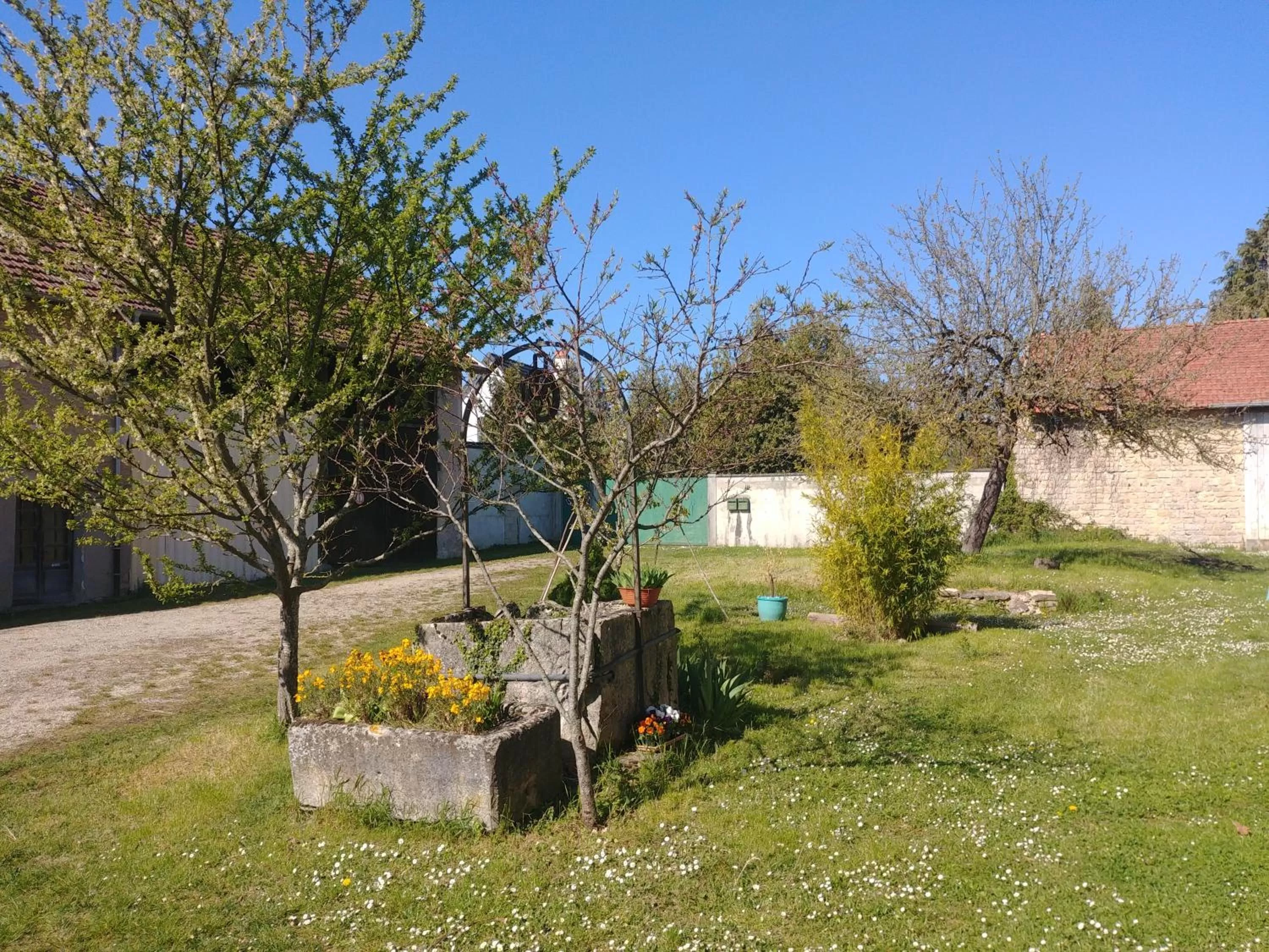 Garden in 2 chambres privées au calme à la Maison des Bambous