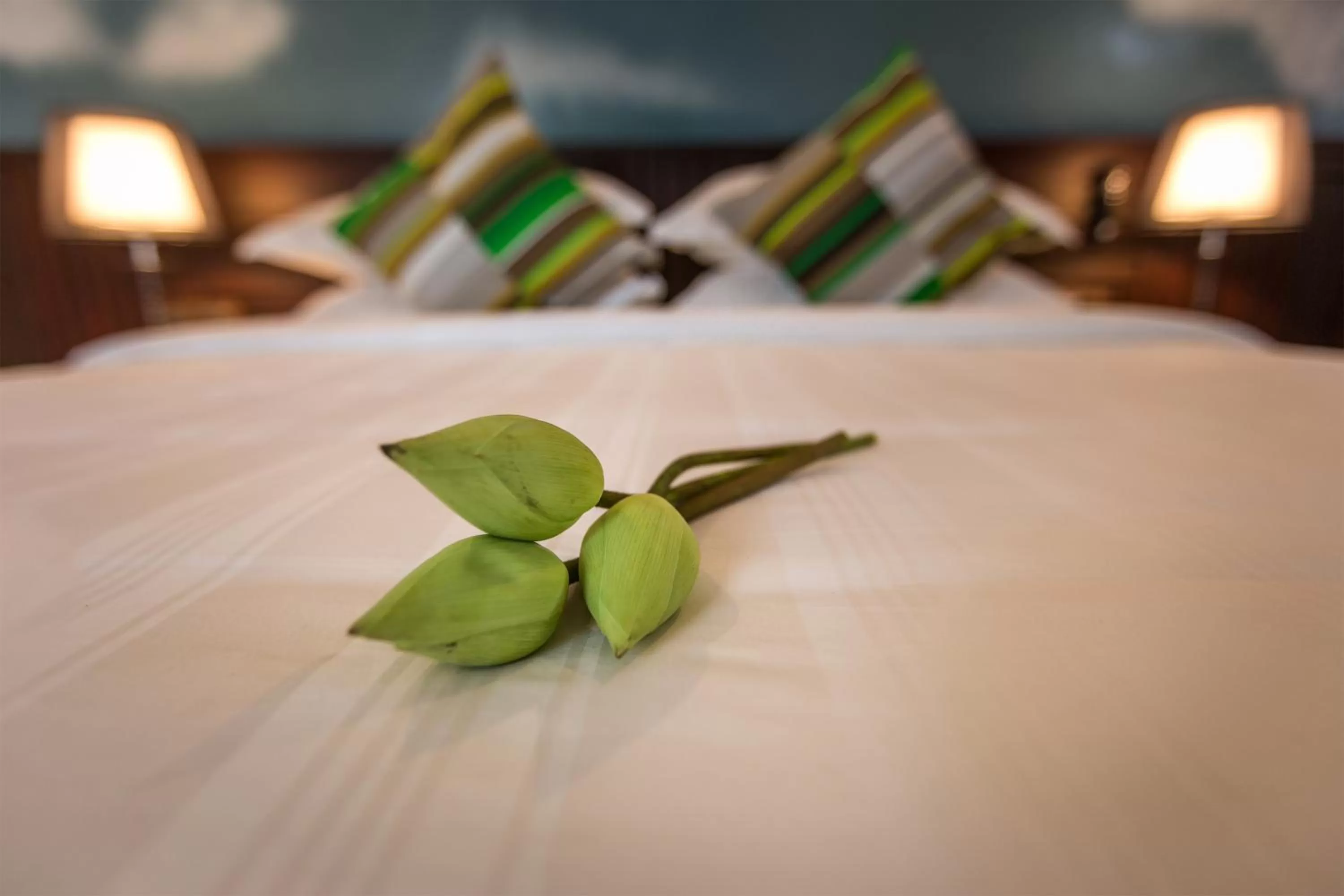 Other, Bed in De Sarann Villa