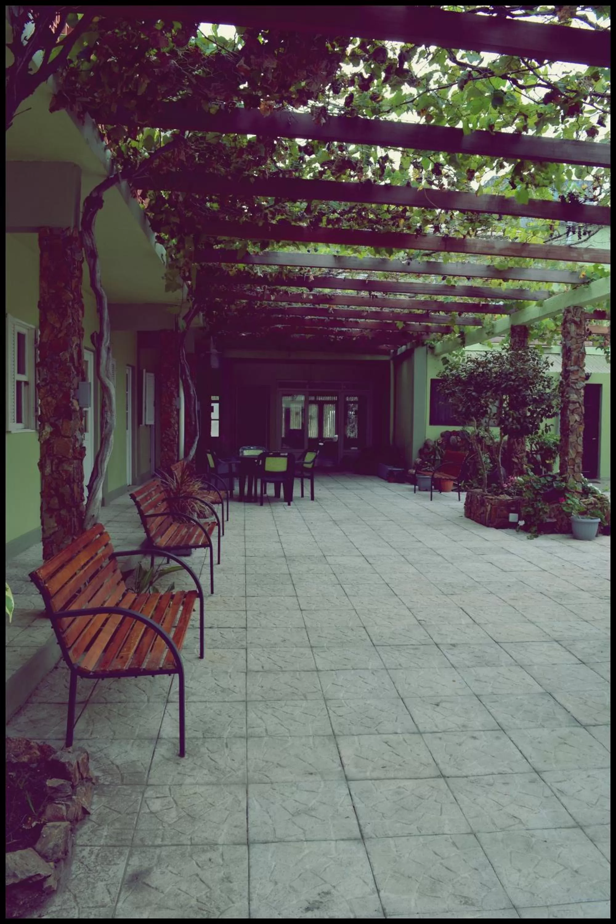Patio in Hotel Internacional