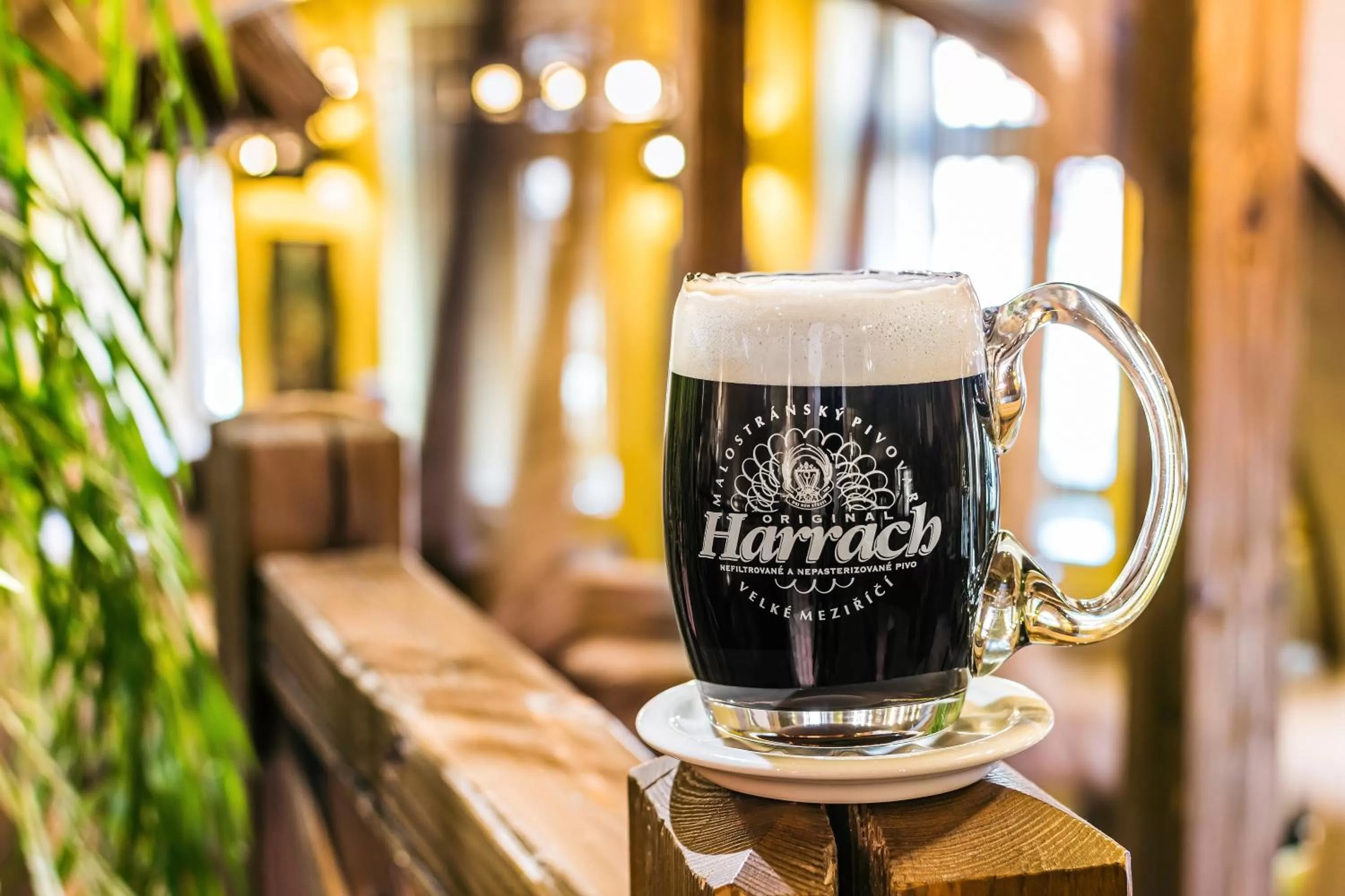 Restaurant/places to eat in Hotel Jelínkova vila