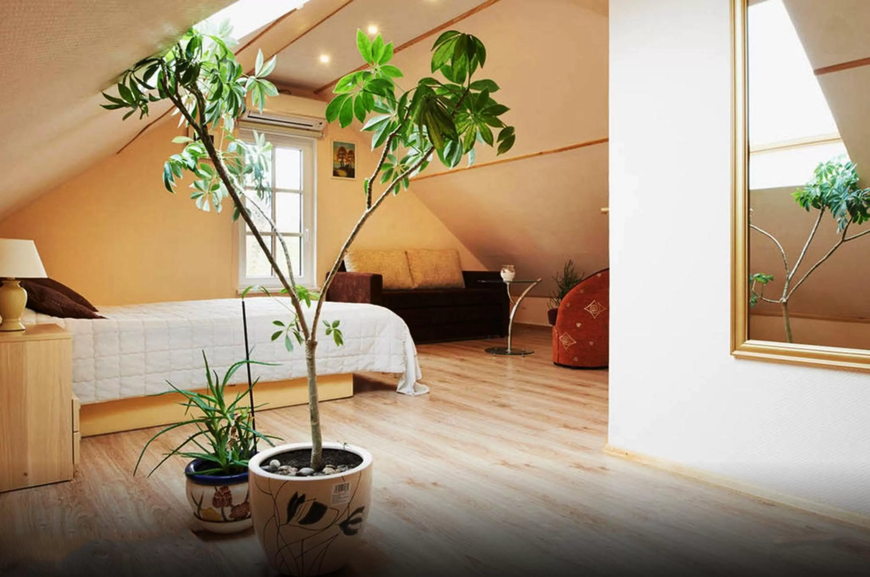 Photo of the whole room, Seating Area in "Trakaitis" nameliai