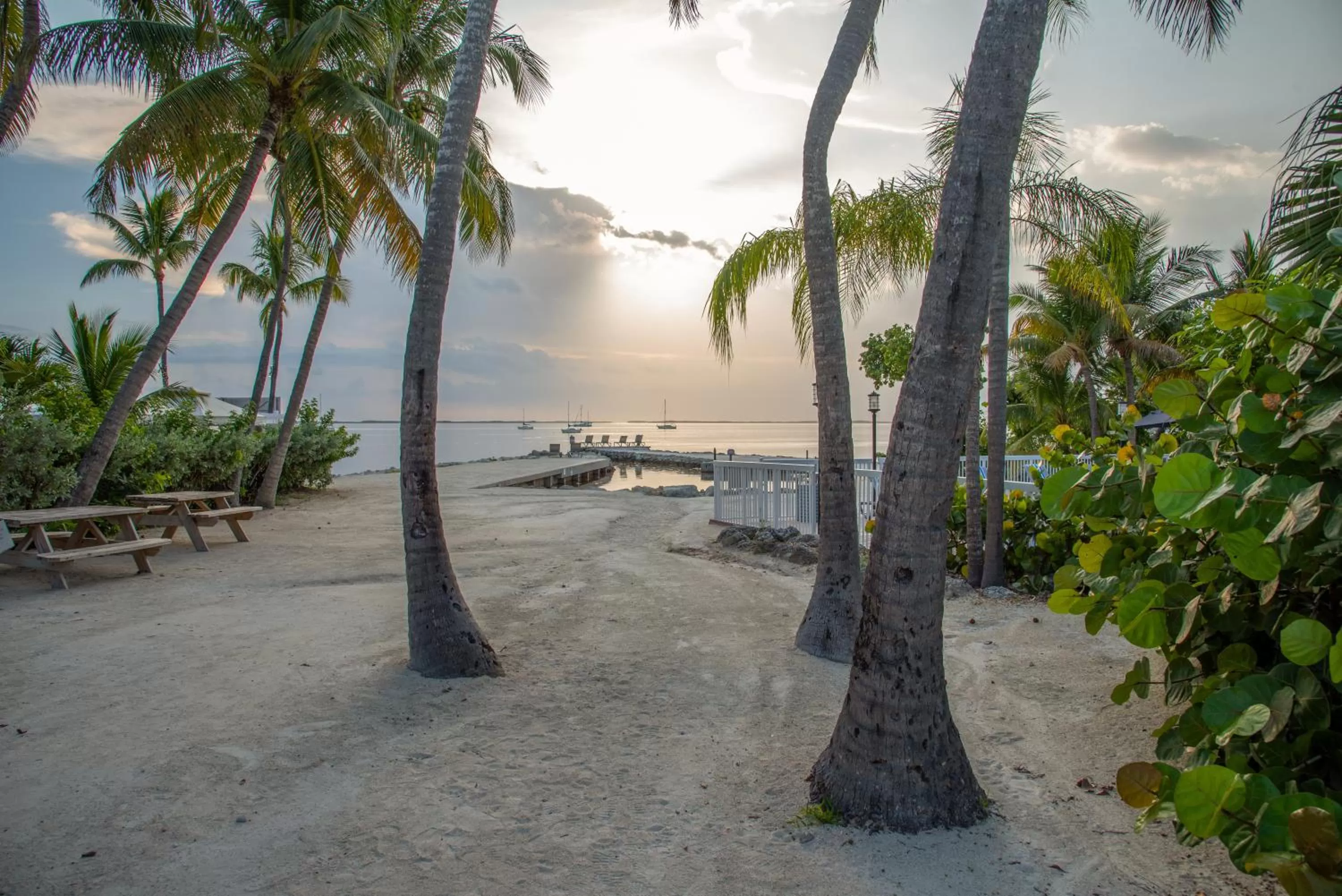 Beach in Bayside Inn Key Largo