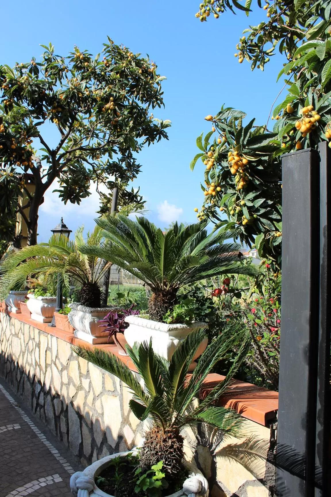 Garden in Buonocore Rooms