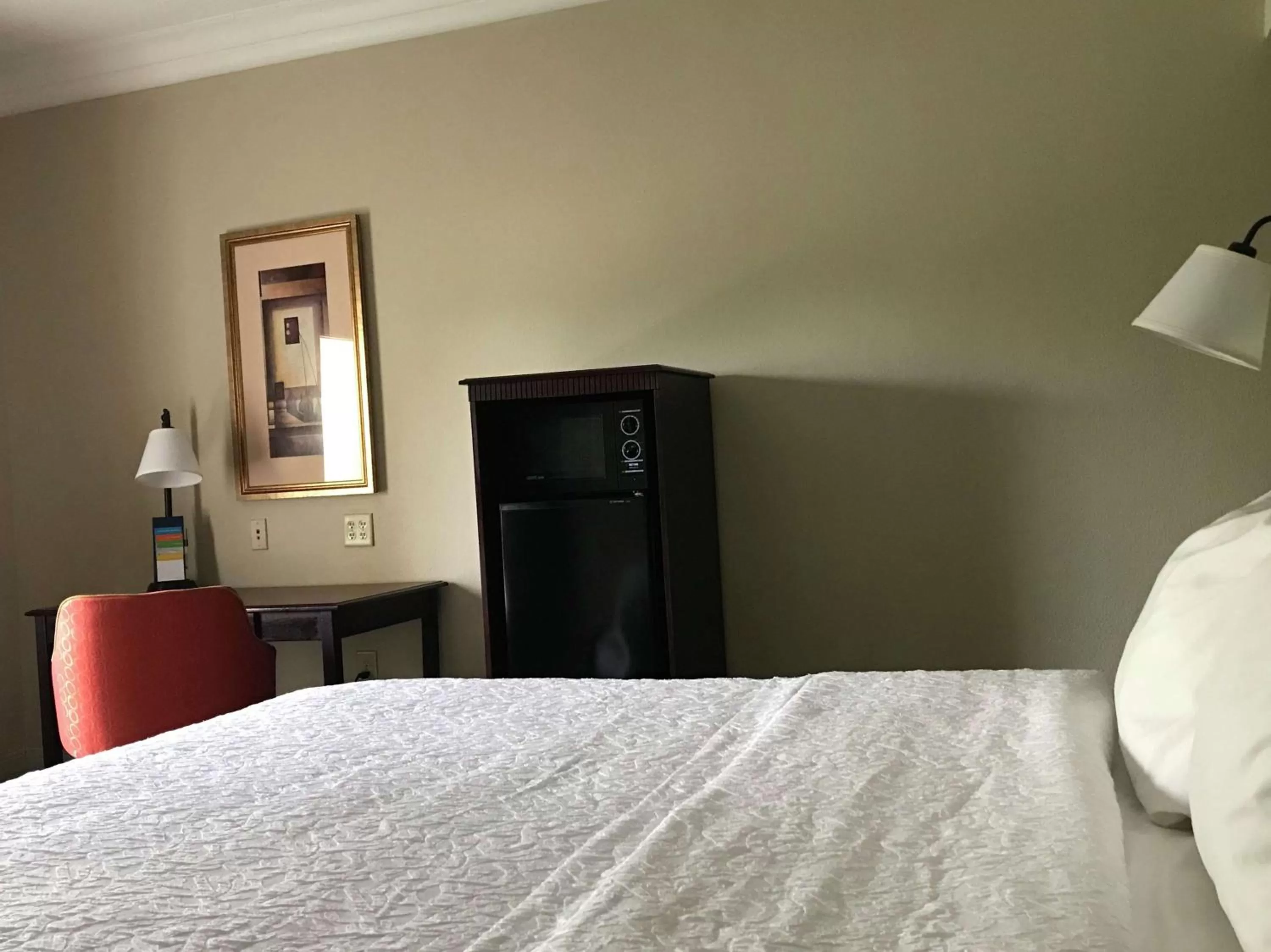 Bedroom, Bed in Hampton Inn Vidalia