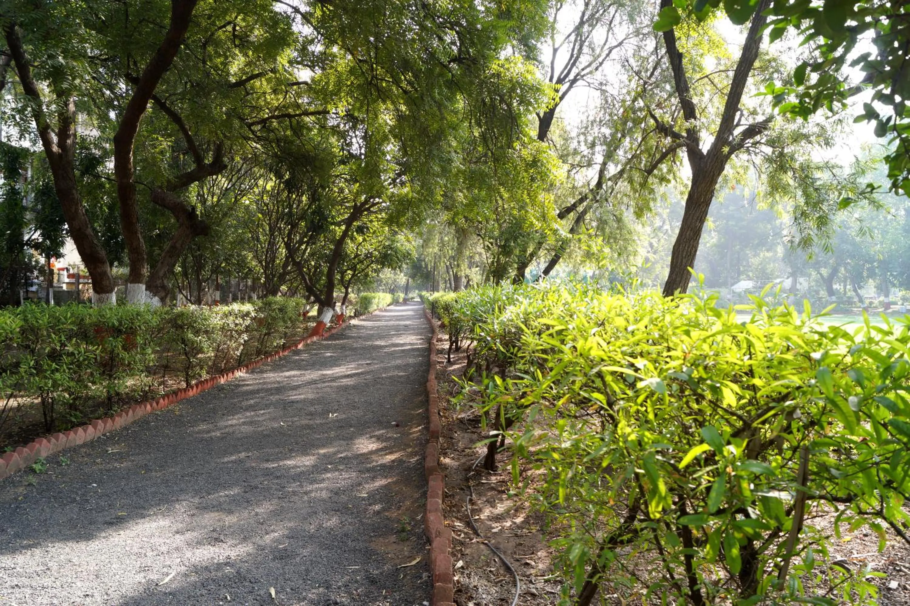 Entertainment in Ambassador Ajanta Hotel, Aurangabad