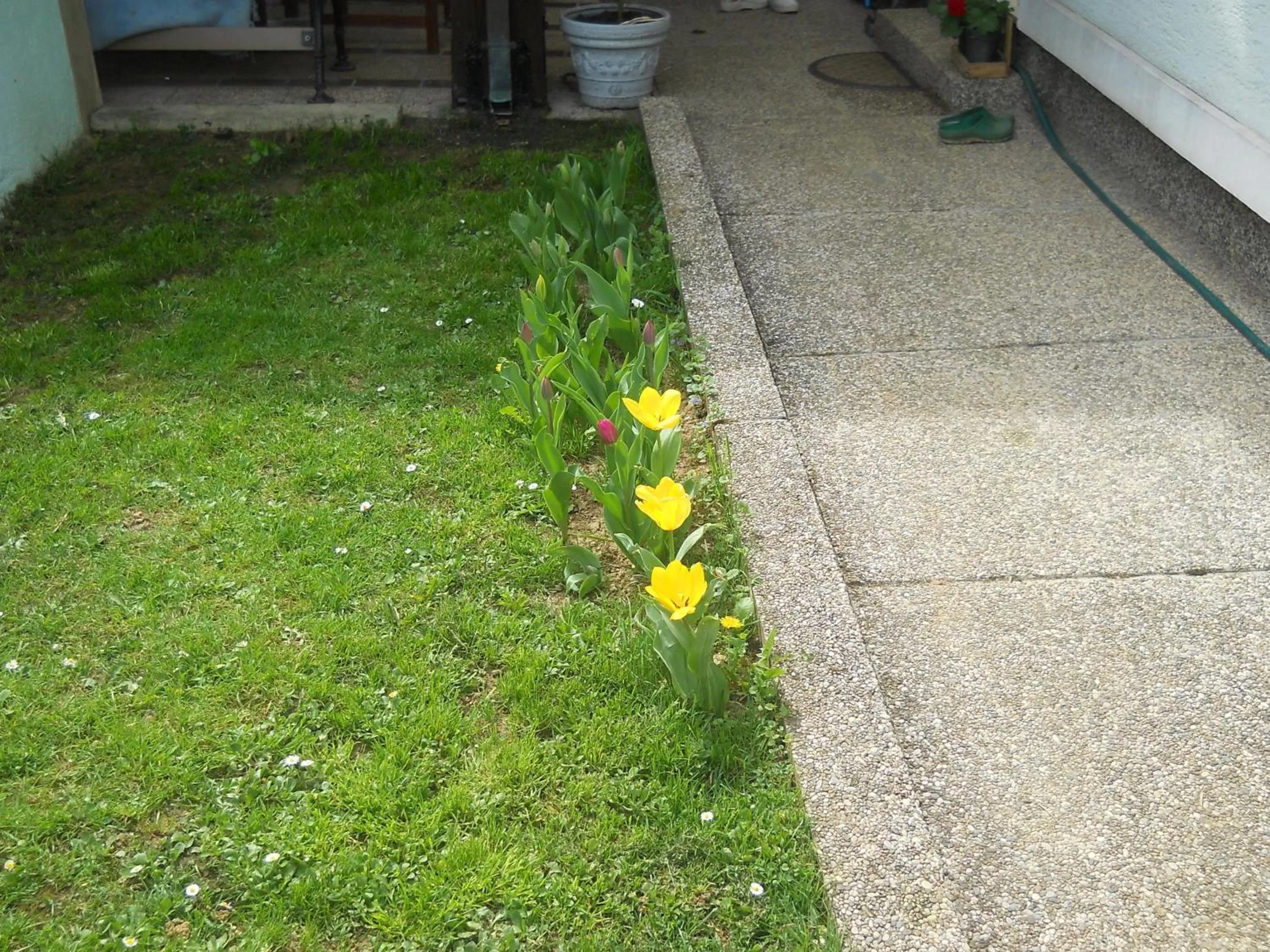 Garden in Apartment & Rooms Miboti