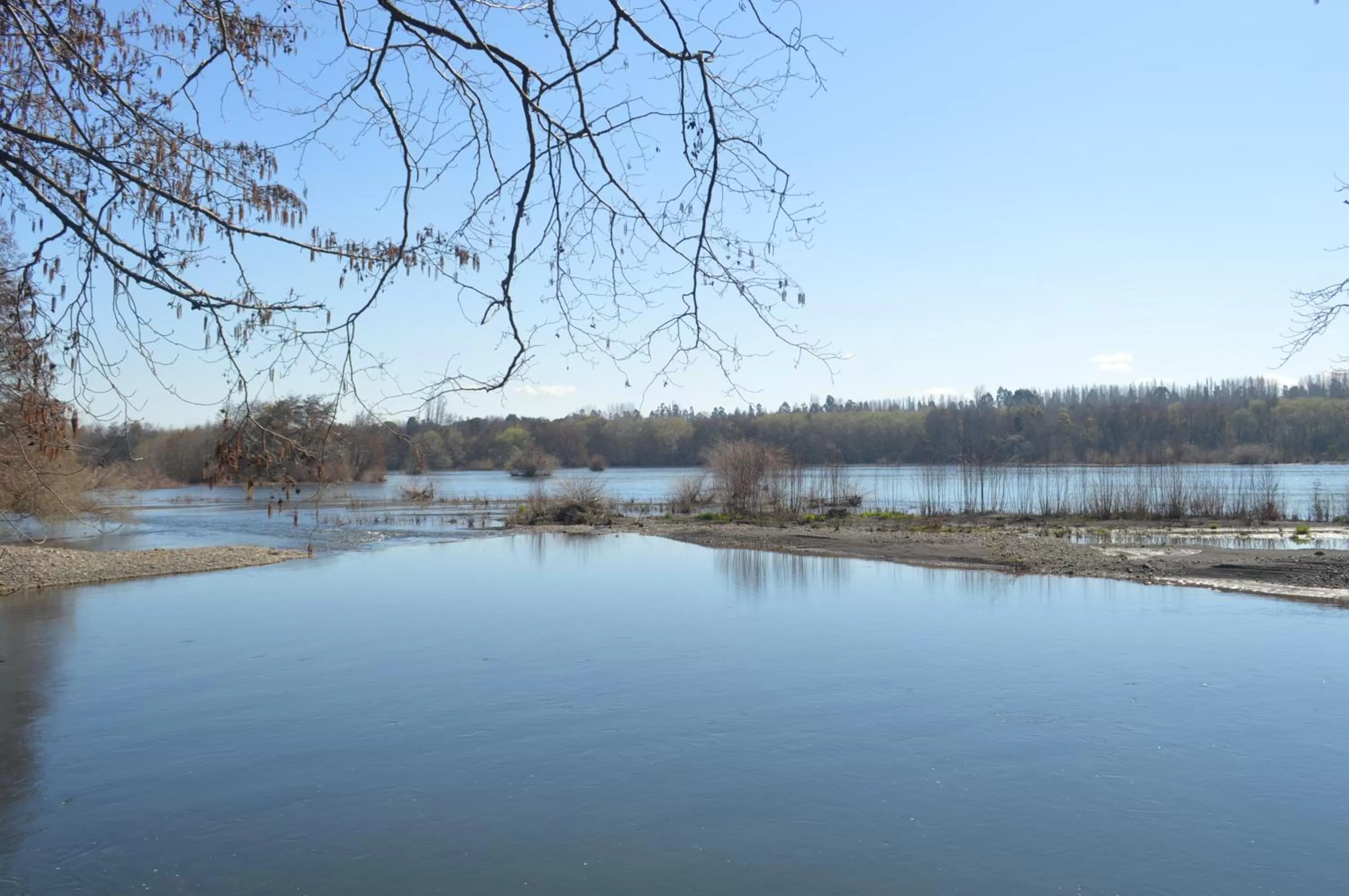 Lake View in Coyunche Cabañas y Camping Laja & San Rosendo