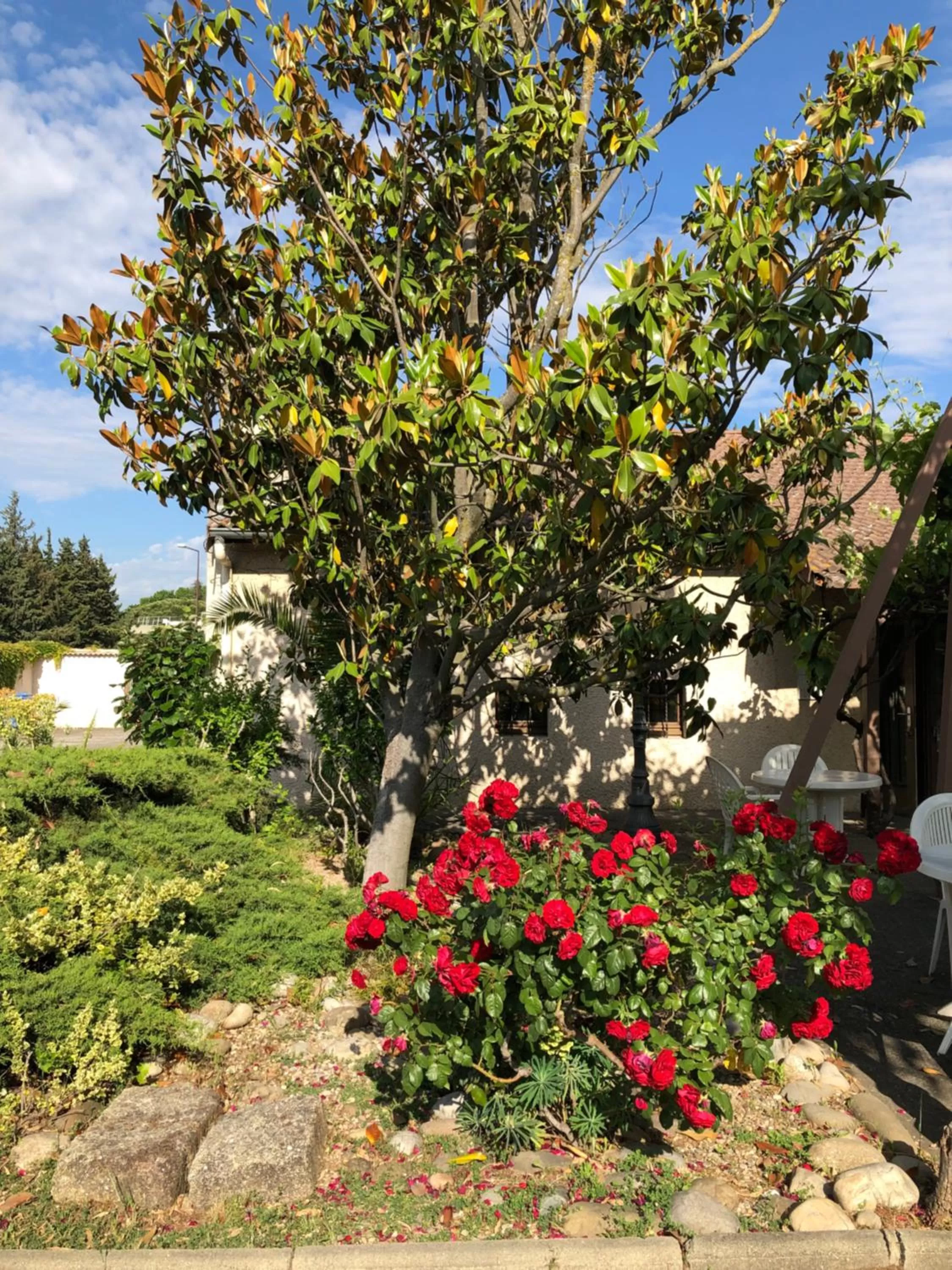 Day in Hotel Cristol