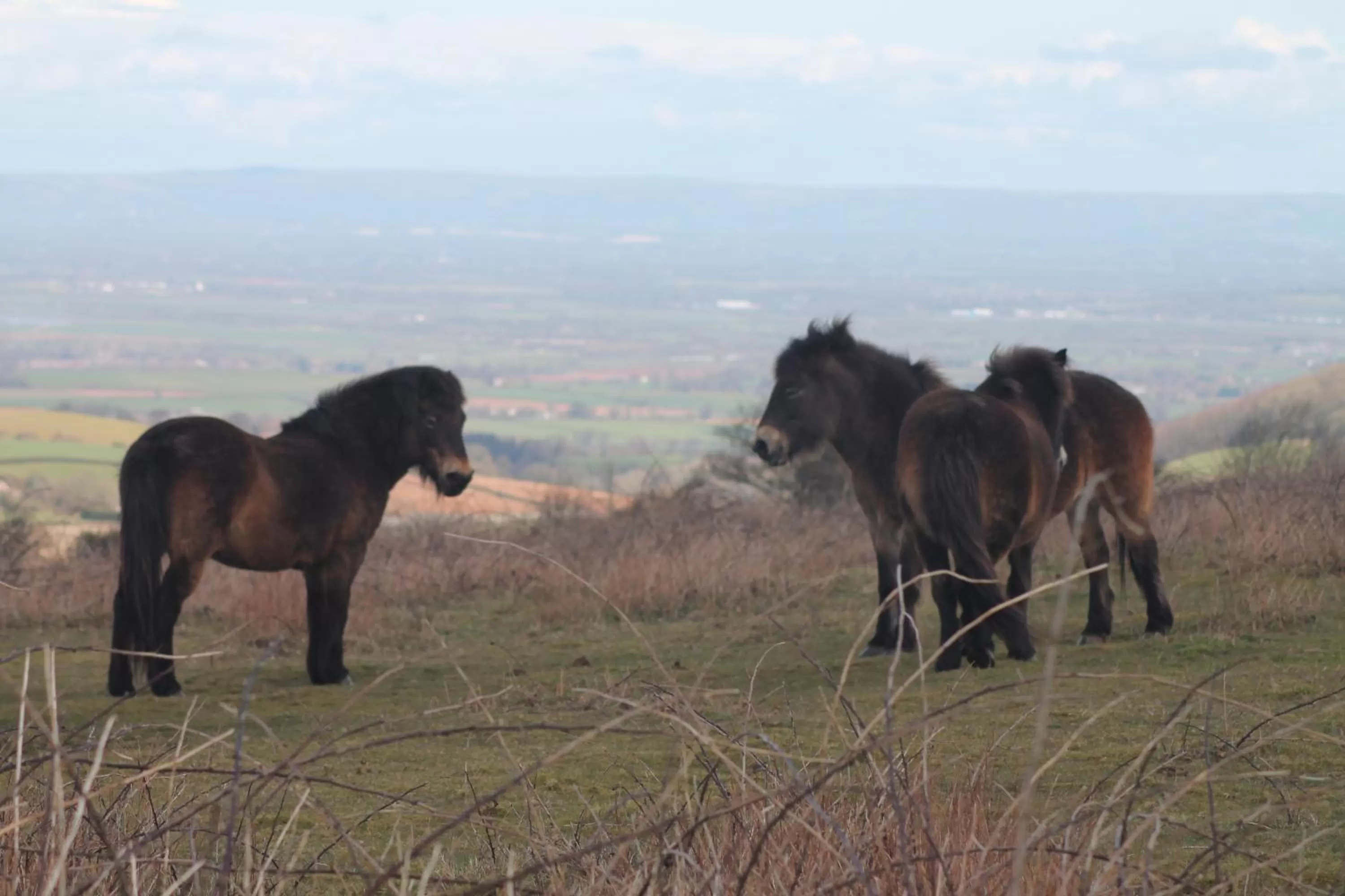 Nearby landmark in The School House