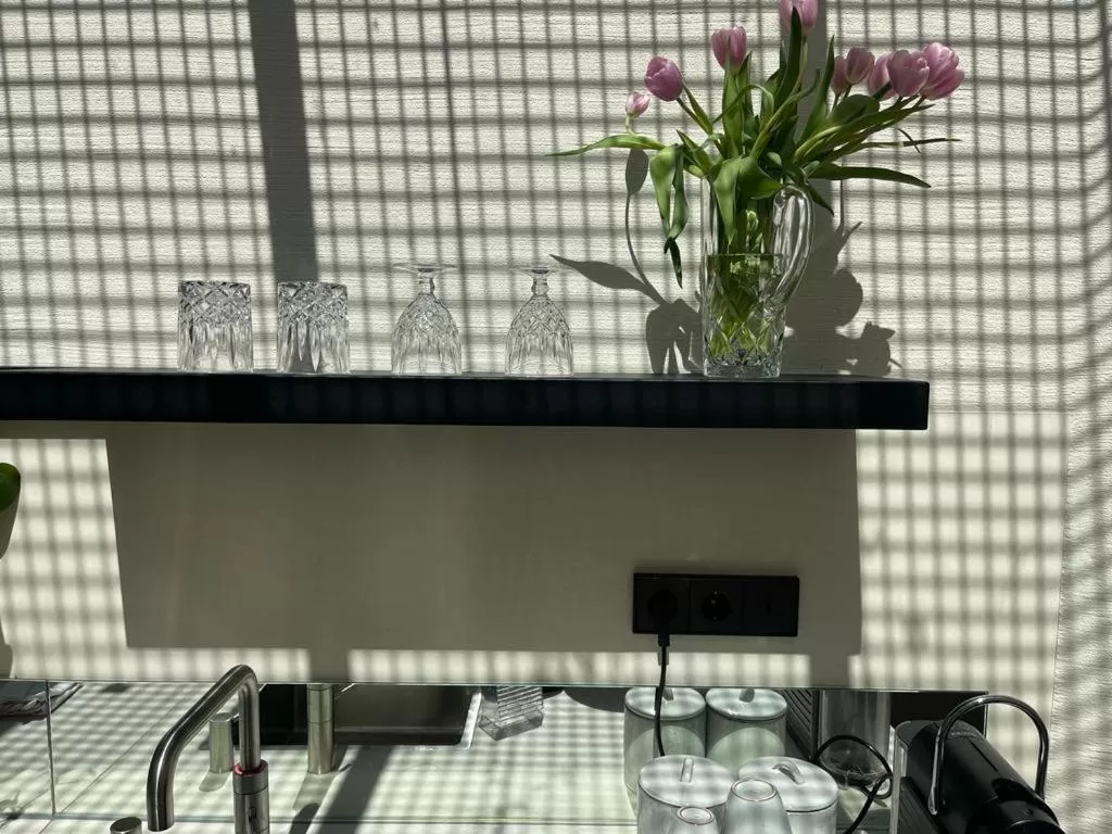 Coffee/tea facilities, Kitchen/Kitchenette in vondice hotel