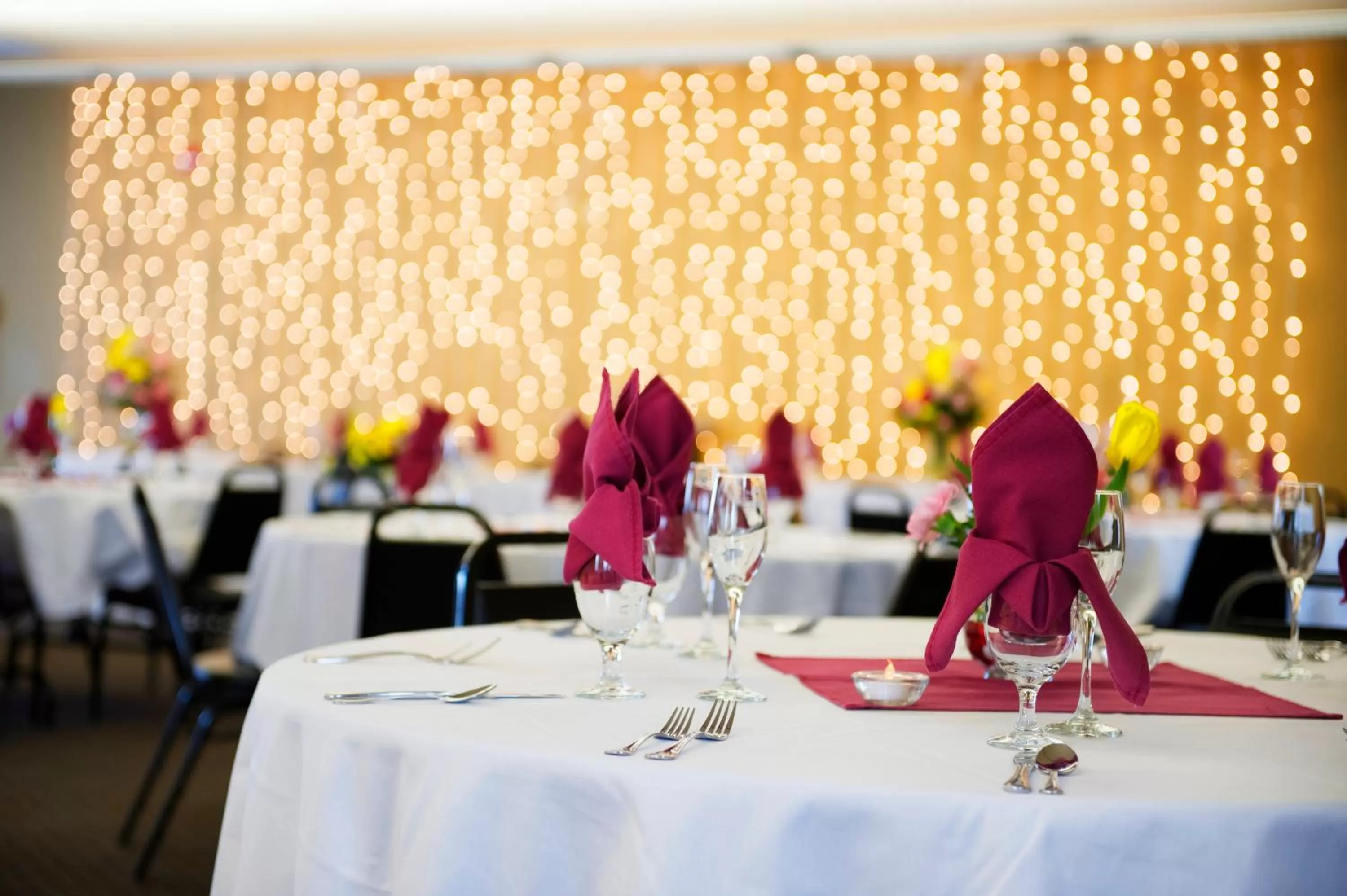 Banquet/Function facilities in The Landing Hotel