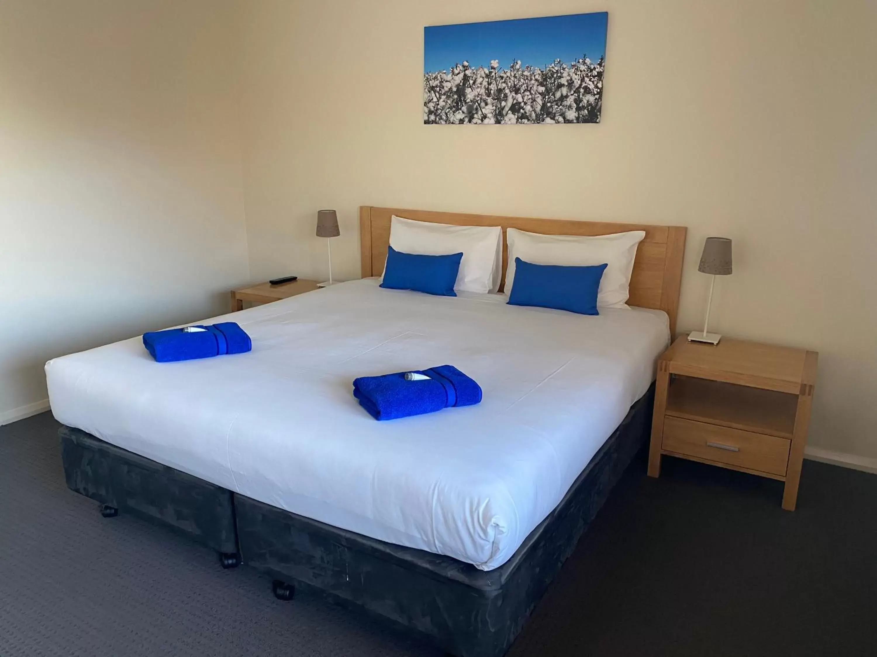 King Room with Spa Bath in Comfort Inn Bishops Lodge King Room with Spa Bath in Comfort Inn Bishops Lodge