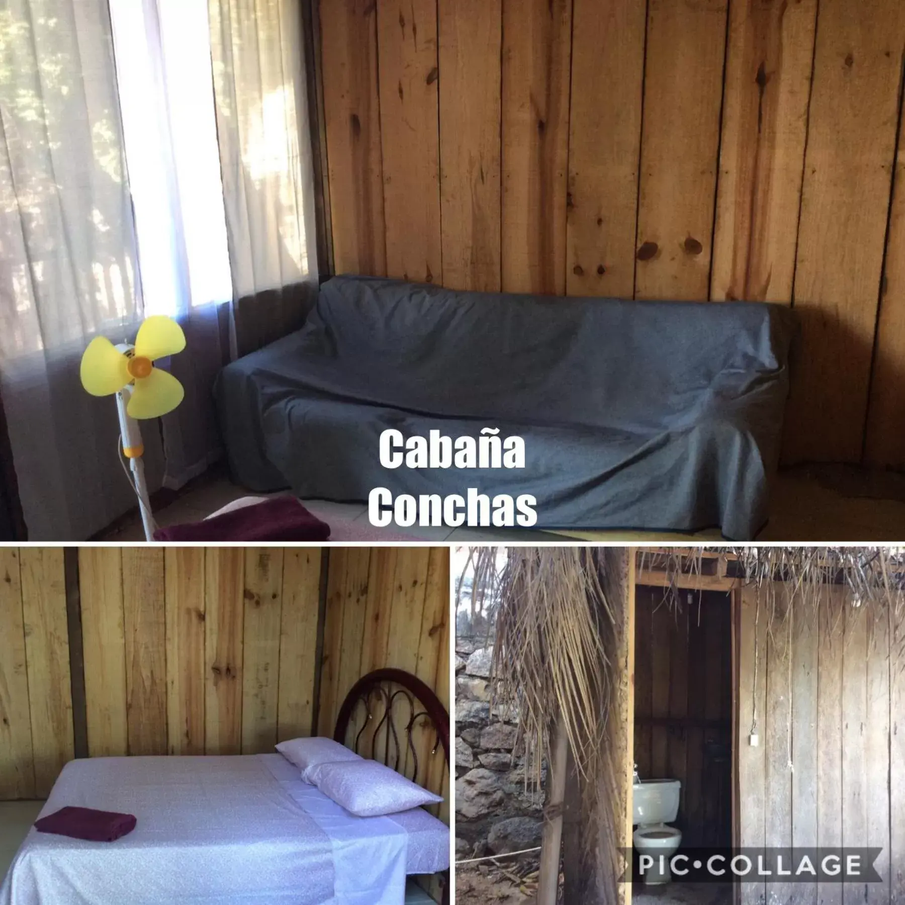 Standard Bungalow in Donde Mira el Sol HOTEL RETIRADO Y ESPACIOSO CON CONDICIONES IDEALES PARA PASAR LA CONTINGENCIA CON LA MAYOR SEGURIDAD Standard Bungalow in Donde Mira el Sol HOTEL RETIRADO Y ESPACIOSO CON CONDICIONES IDEALES PARA PASAR LA CONTINGENCIA CON LA MAYOR SEGURIDAD