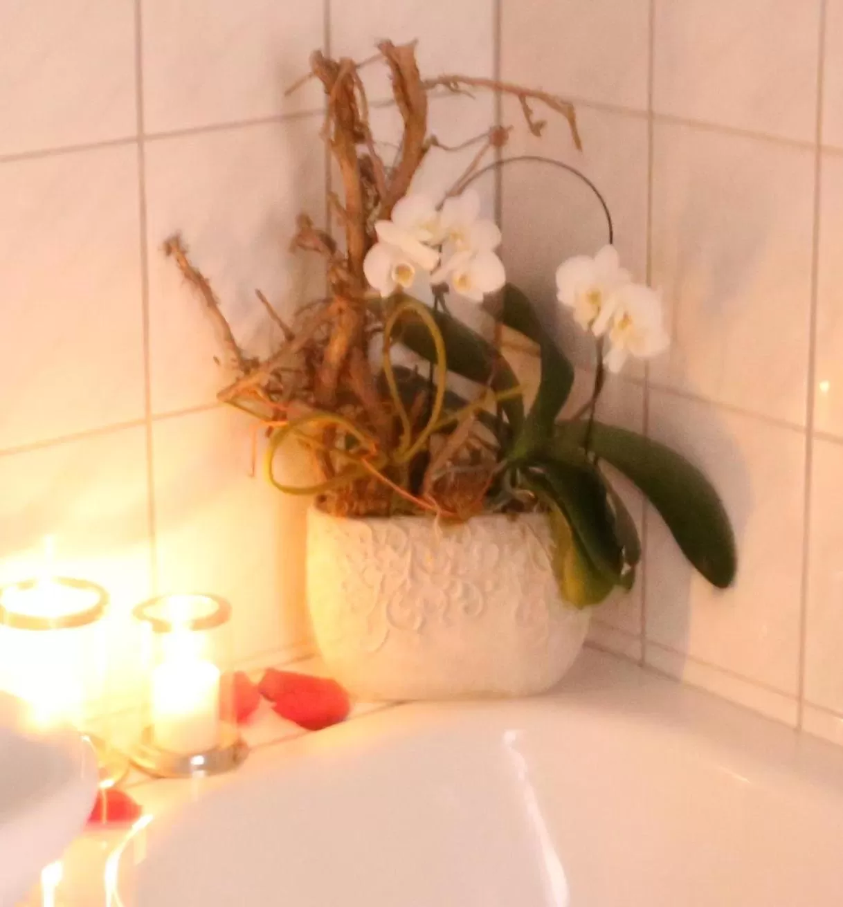 Decorative detail, Bathroom in In Piazza