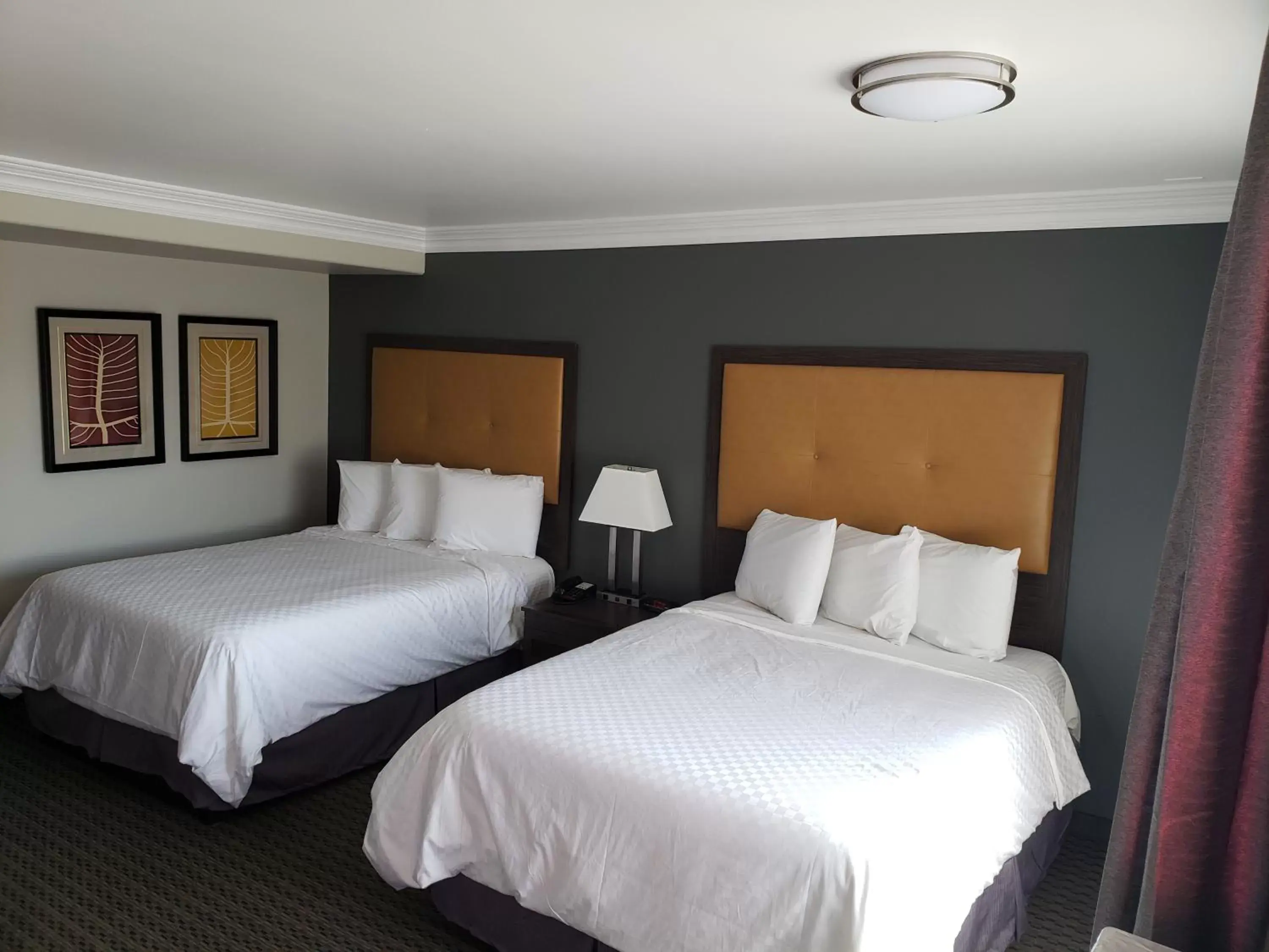 Queen Room with Two Queen Beds in Portofino Inn Burbank Queen Room with Two Queen Beds in Portofino Inn Burbank