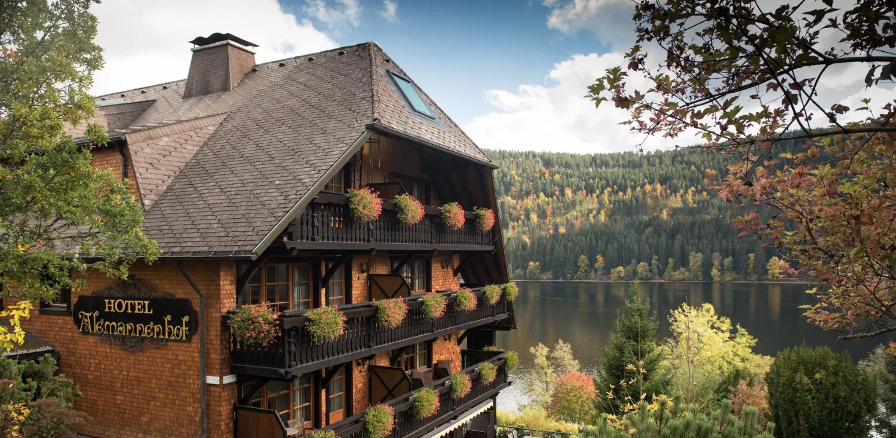 Property building in Alemannenhof - Boutique Hotel am Titisee