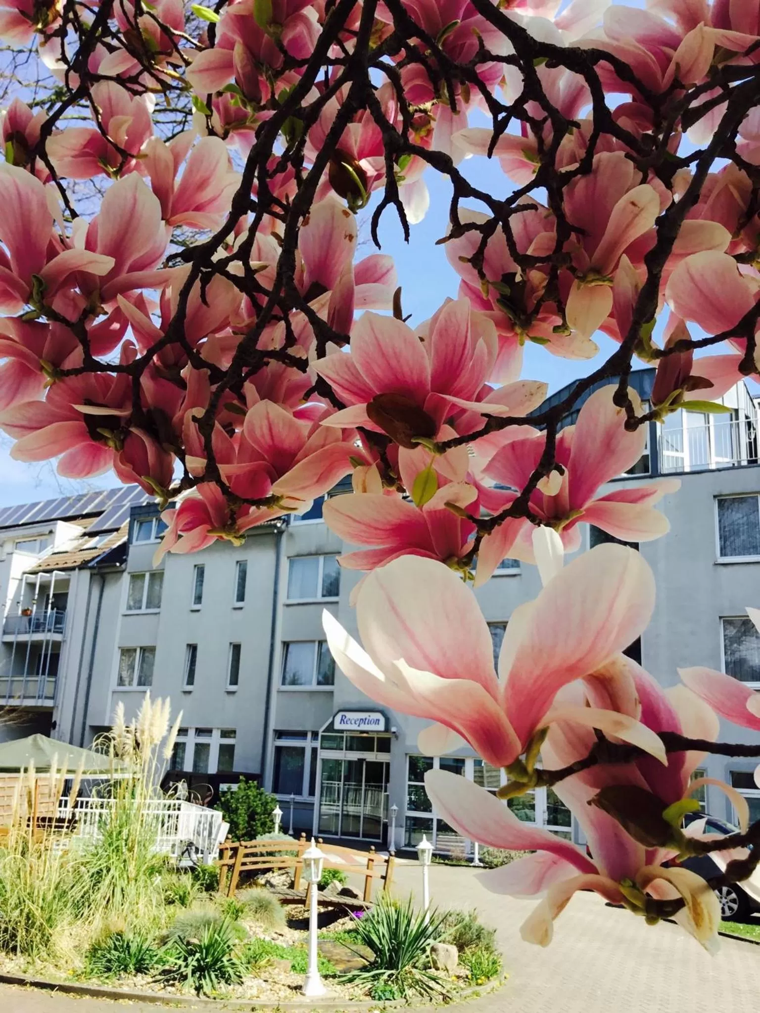 Property building in Astoria Easy Hotel Essen