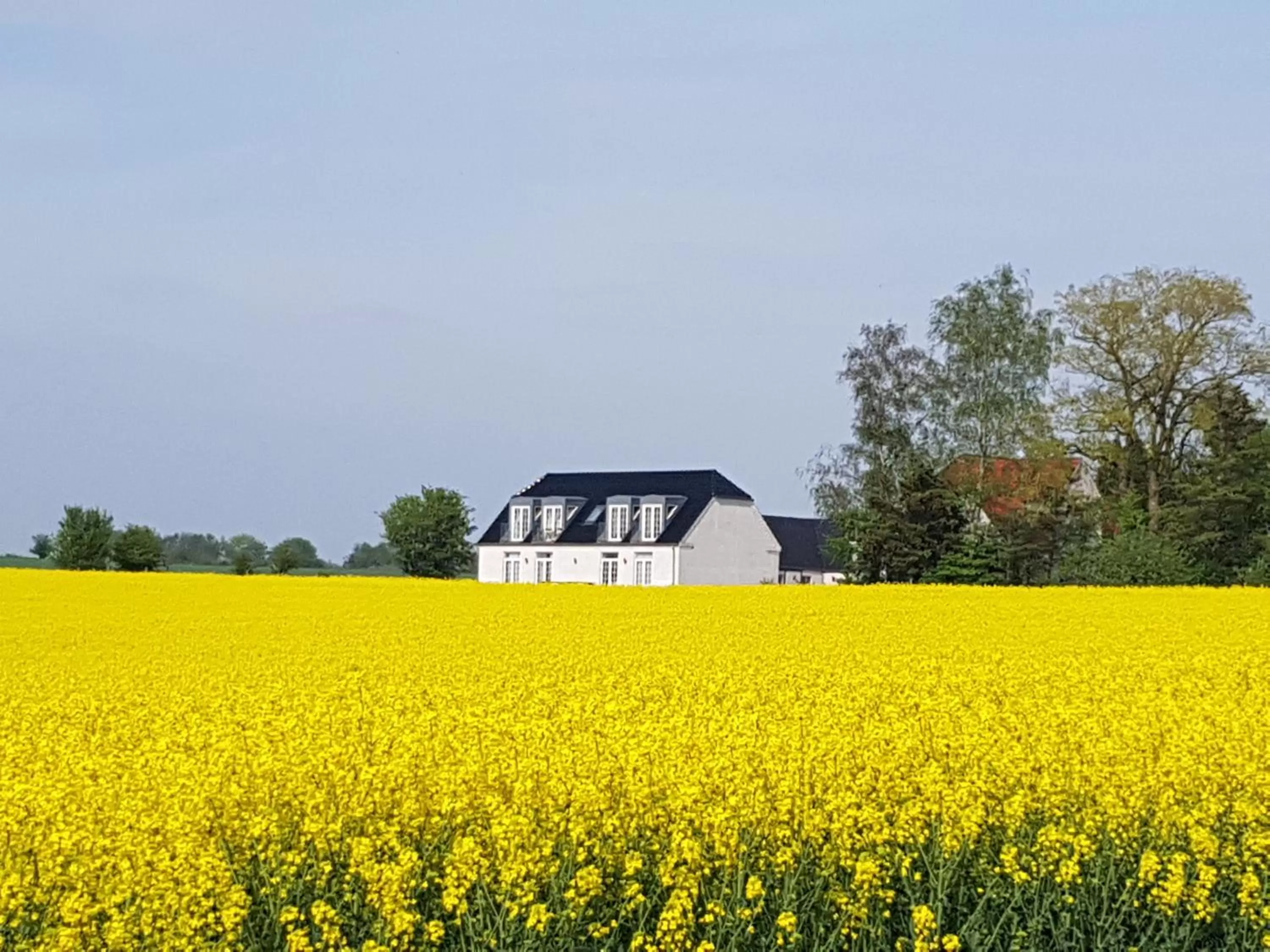 Bird's eye view, Property Building in Roskilde B&B