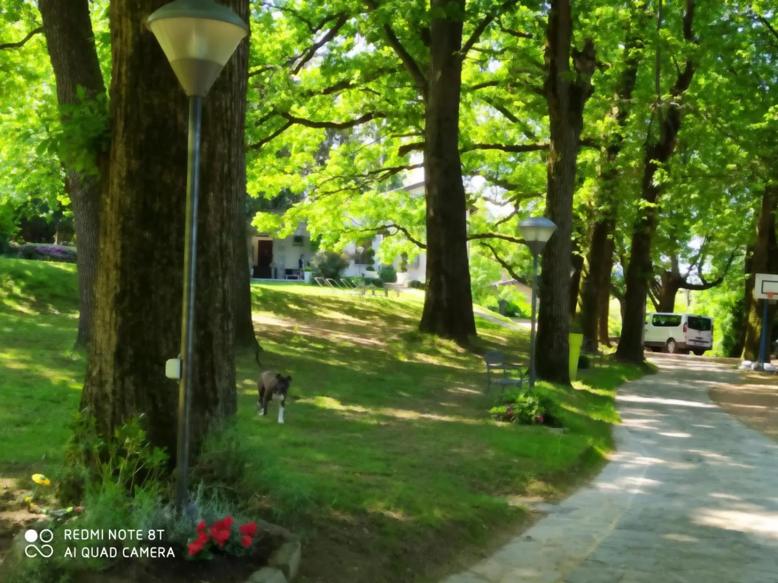 Garden view, Garden in "La Selvetta" bed and breakfast
