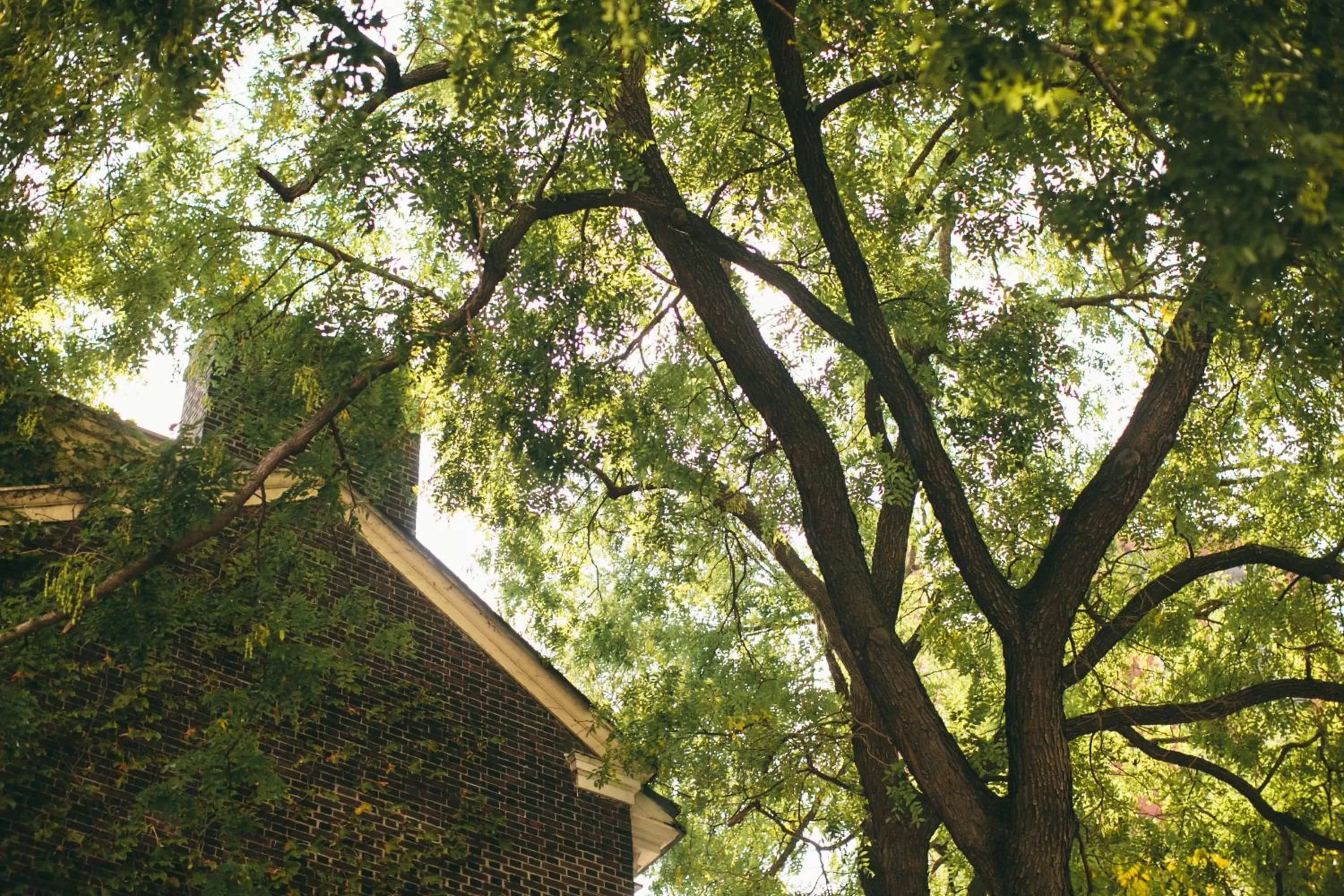 Facade/entrance in Morris House Hotel