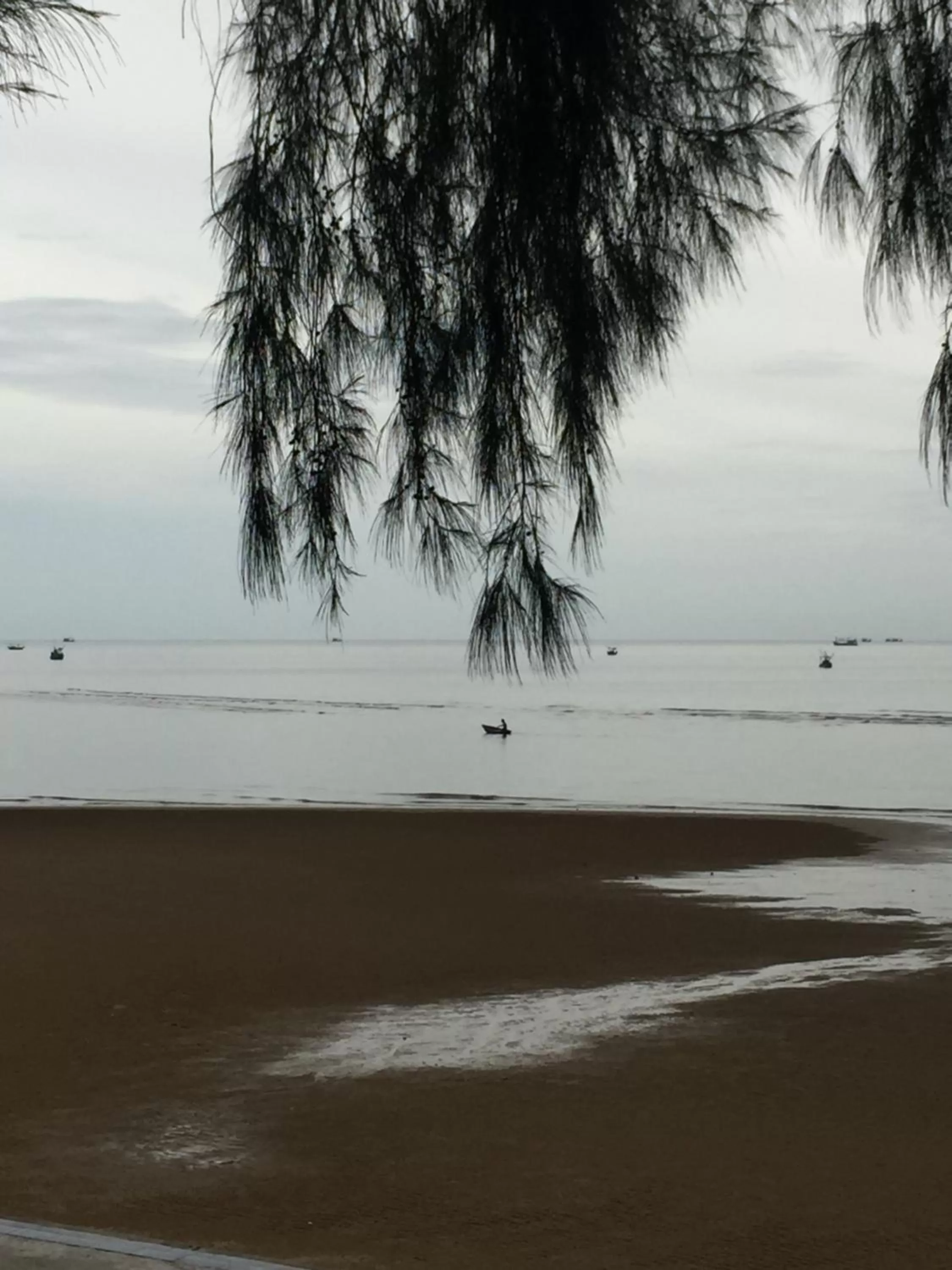Beach in BC Summer Beach